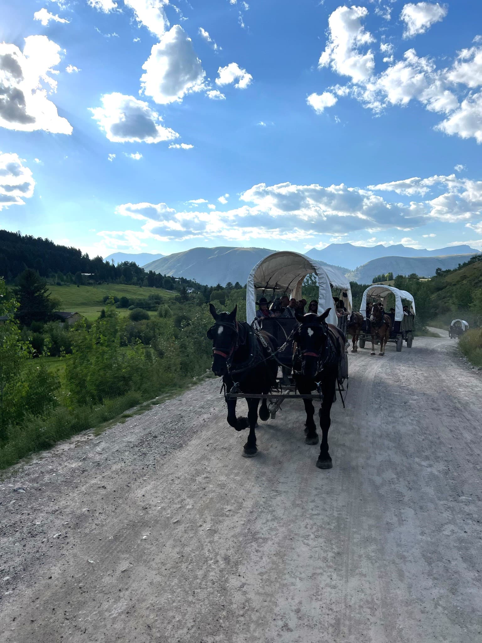 A picture of horses pulling a carriage down a dirt road with green plants, wild grass and mountains in the distance.