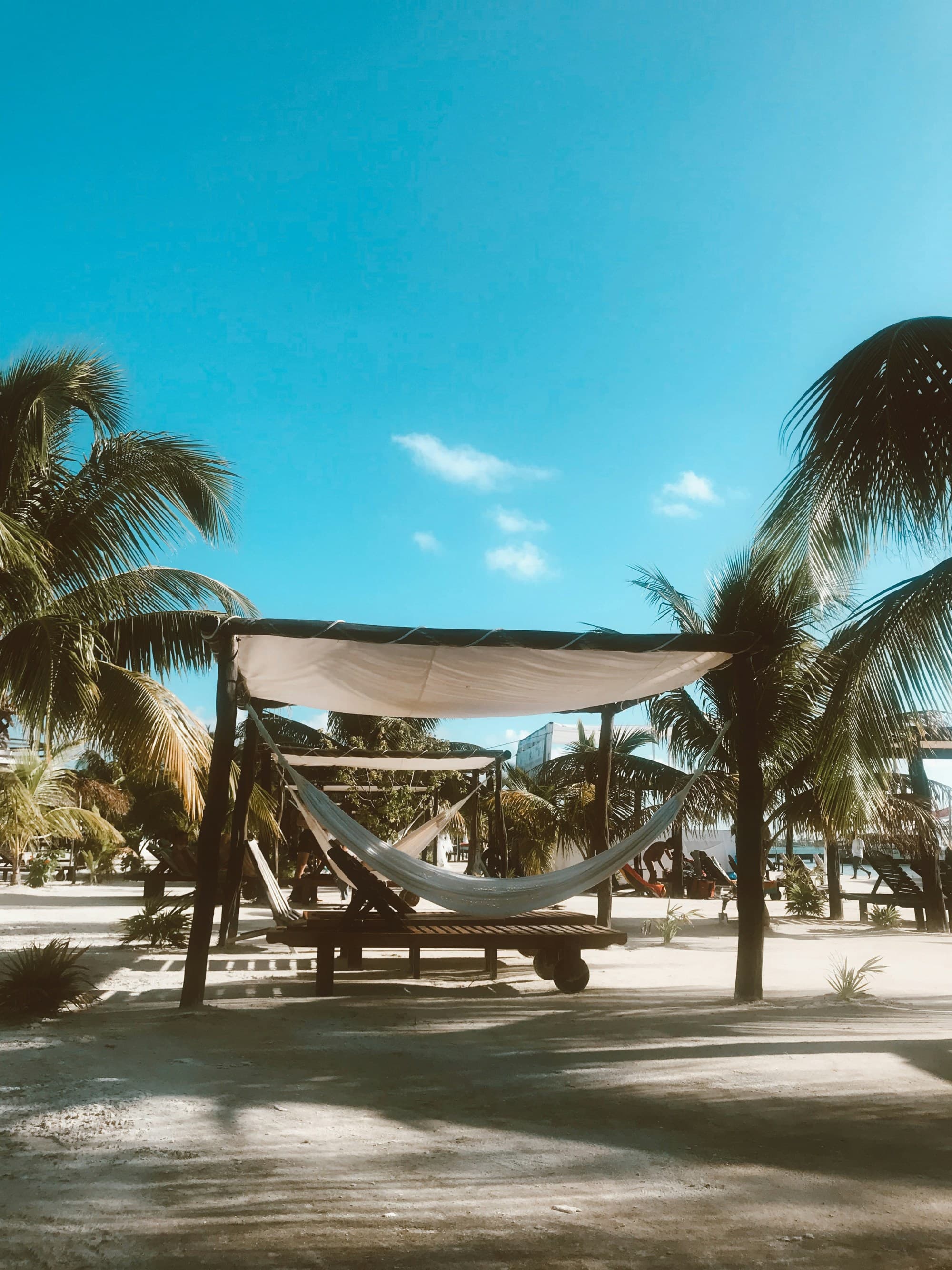 A picture of a white hammock with sun loungers under a canopy tied to the palm trees near the beach.