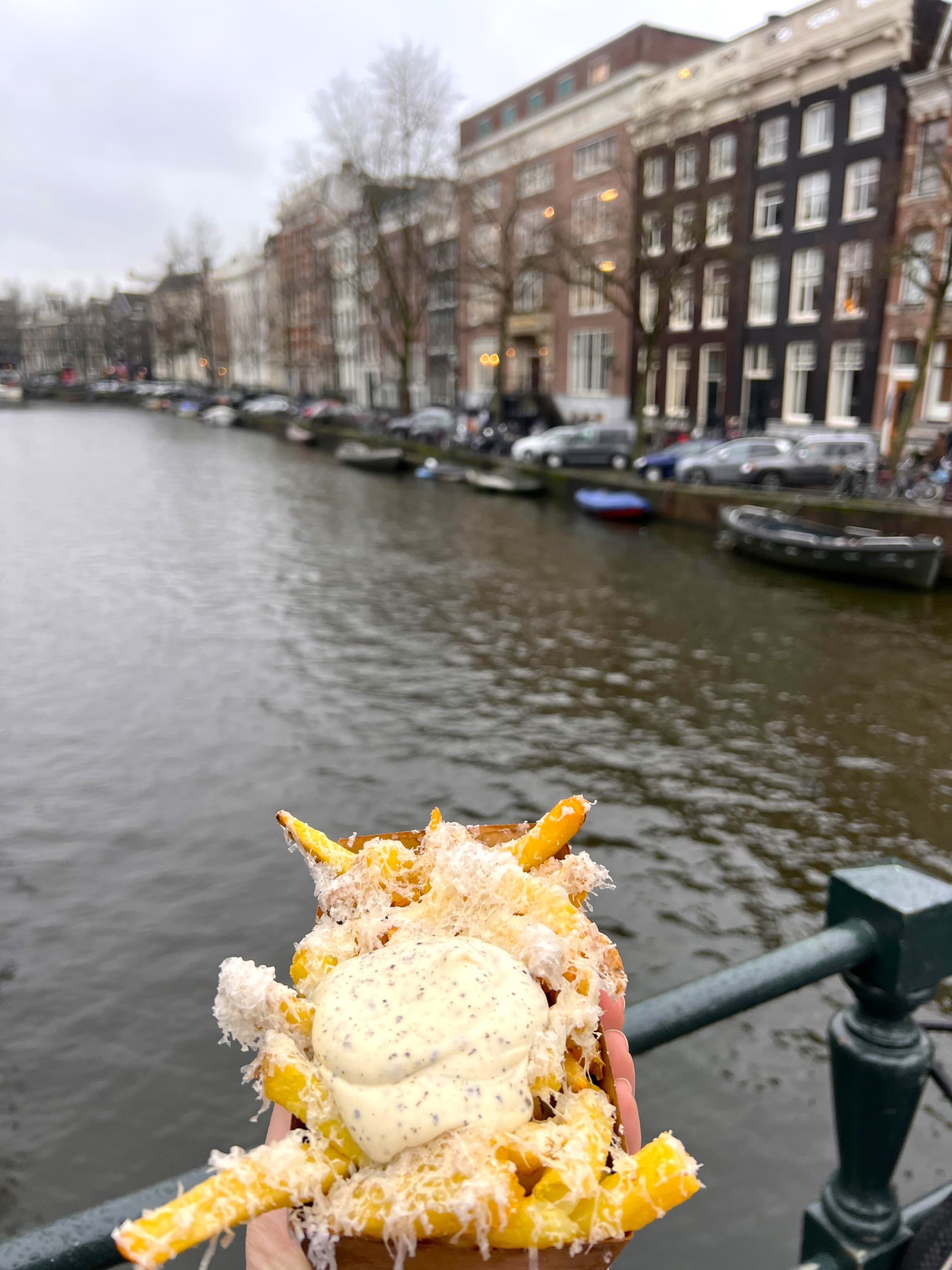A person holding fries on a bridge in front of a row of buildings.
