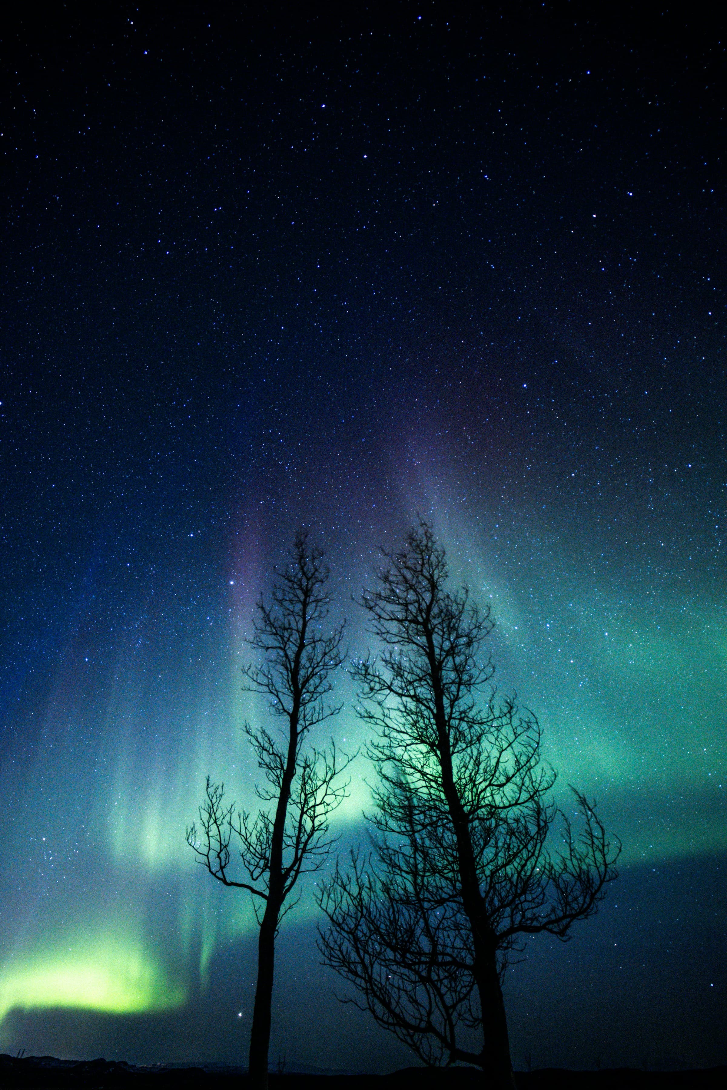Northern lights shining in a very starry sky.
