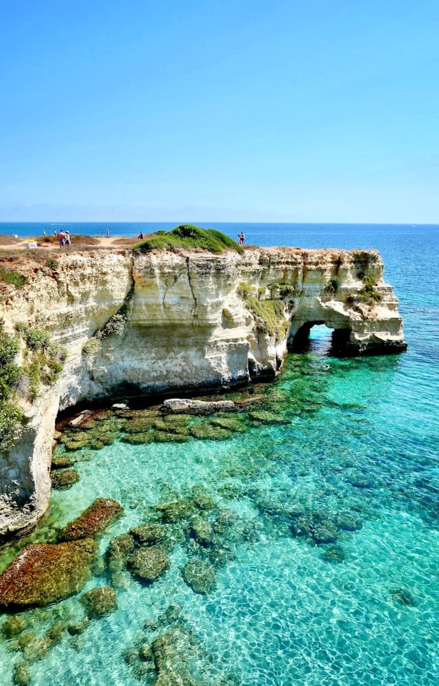A cliff extending into the ocean on a clear day with beautiful foliage.