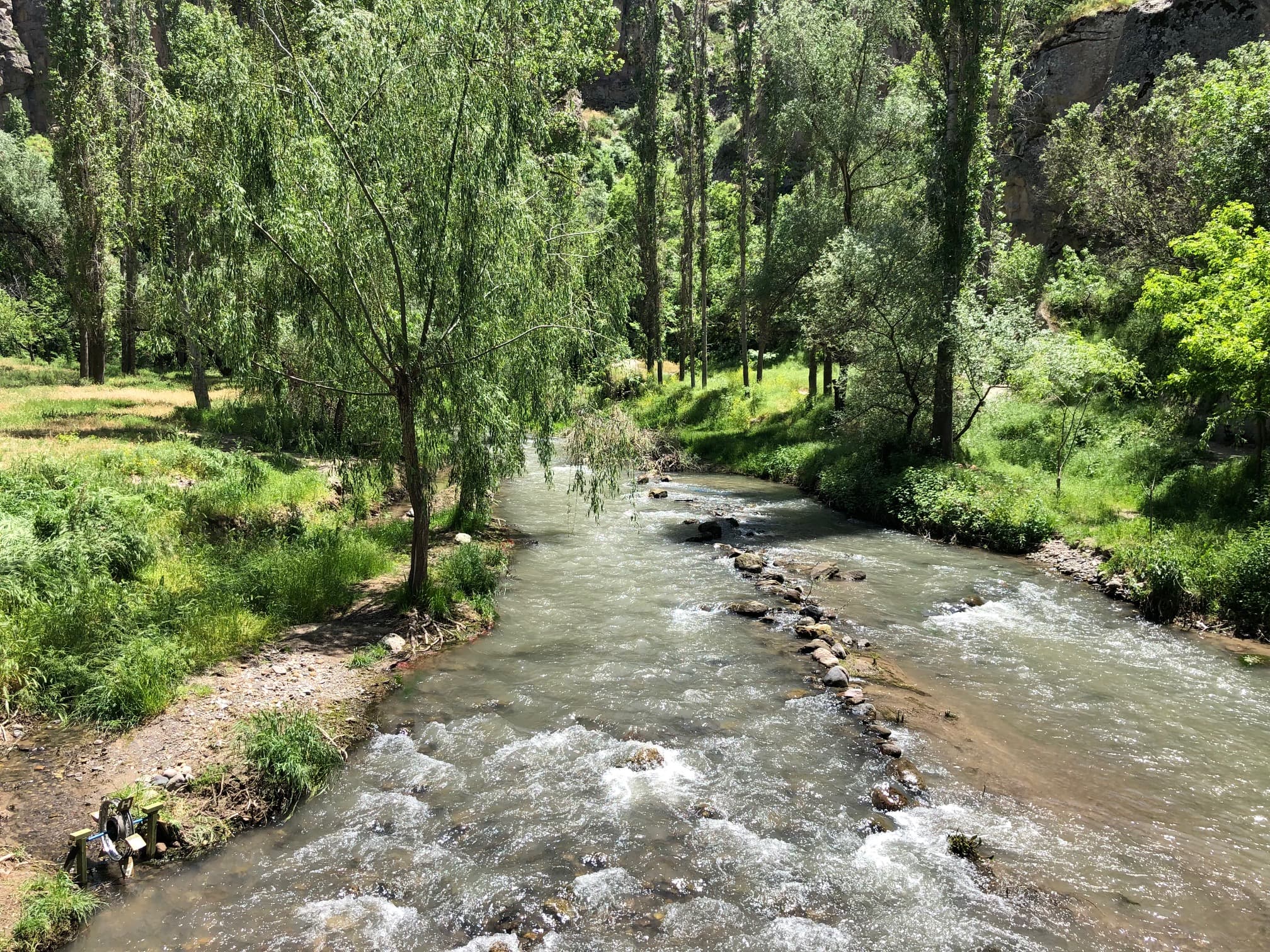 A view of a creek with stones, grass and trees in the surrounding areas.