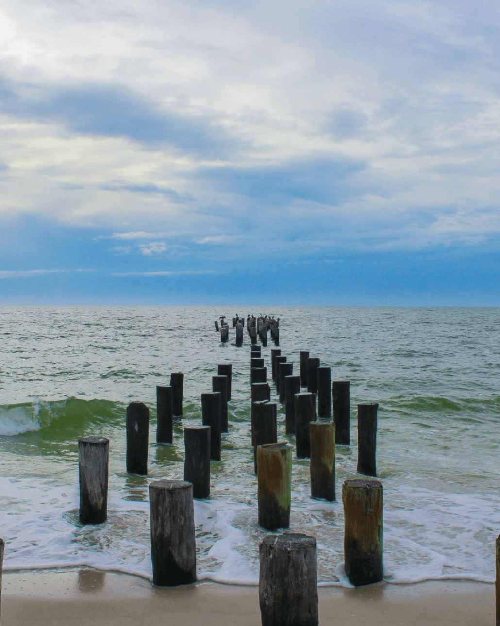 beach with wooden dock supports