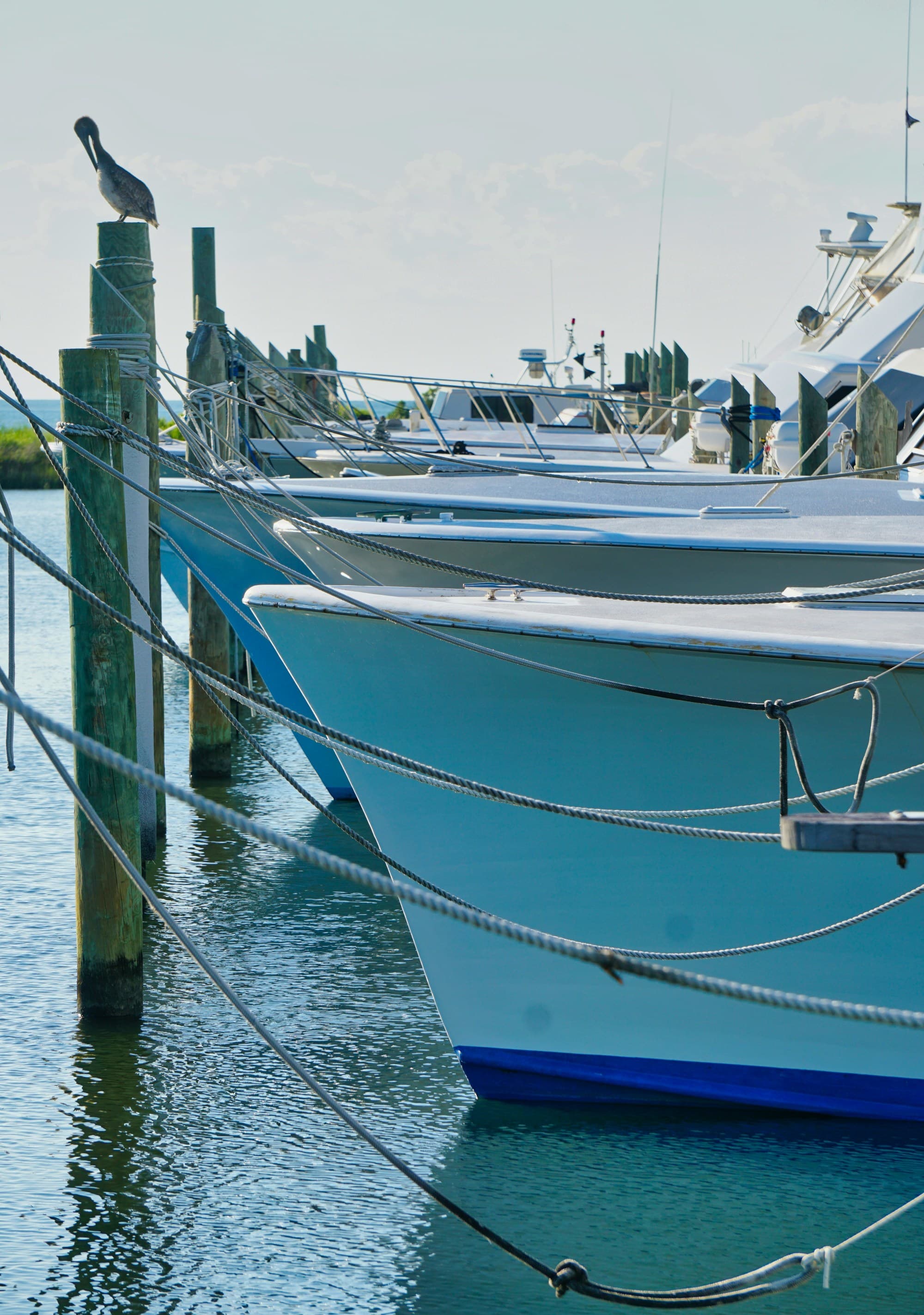 The front of boats tied to a dock on top of water.