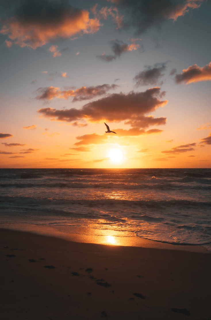 A sunset over the ocean with a sandy shore in the forefront.