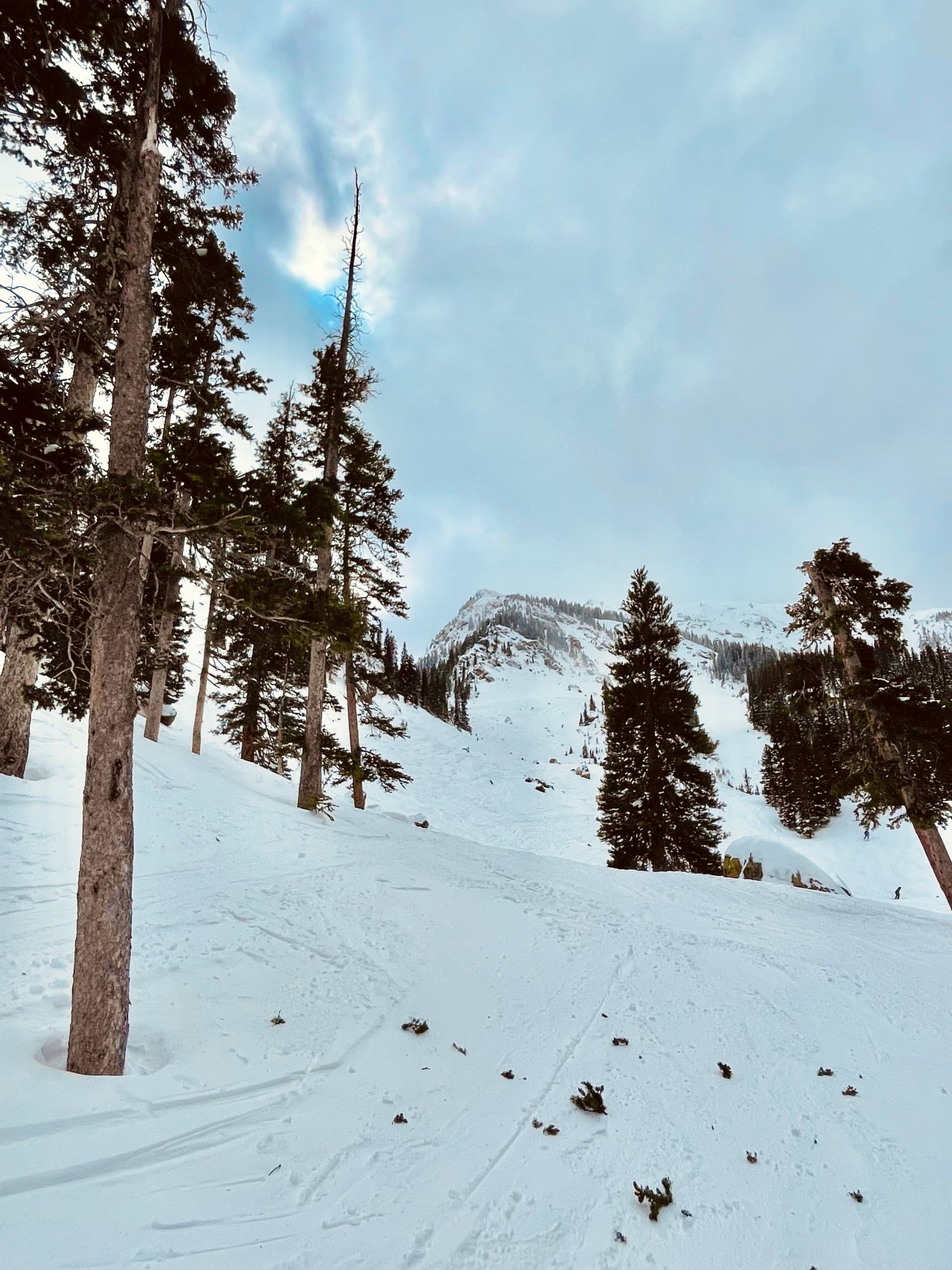 Snow covered mountains and trails surrounded by pine trees in the daytime.