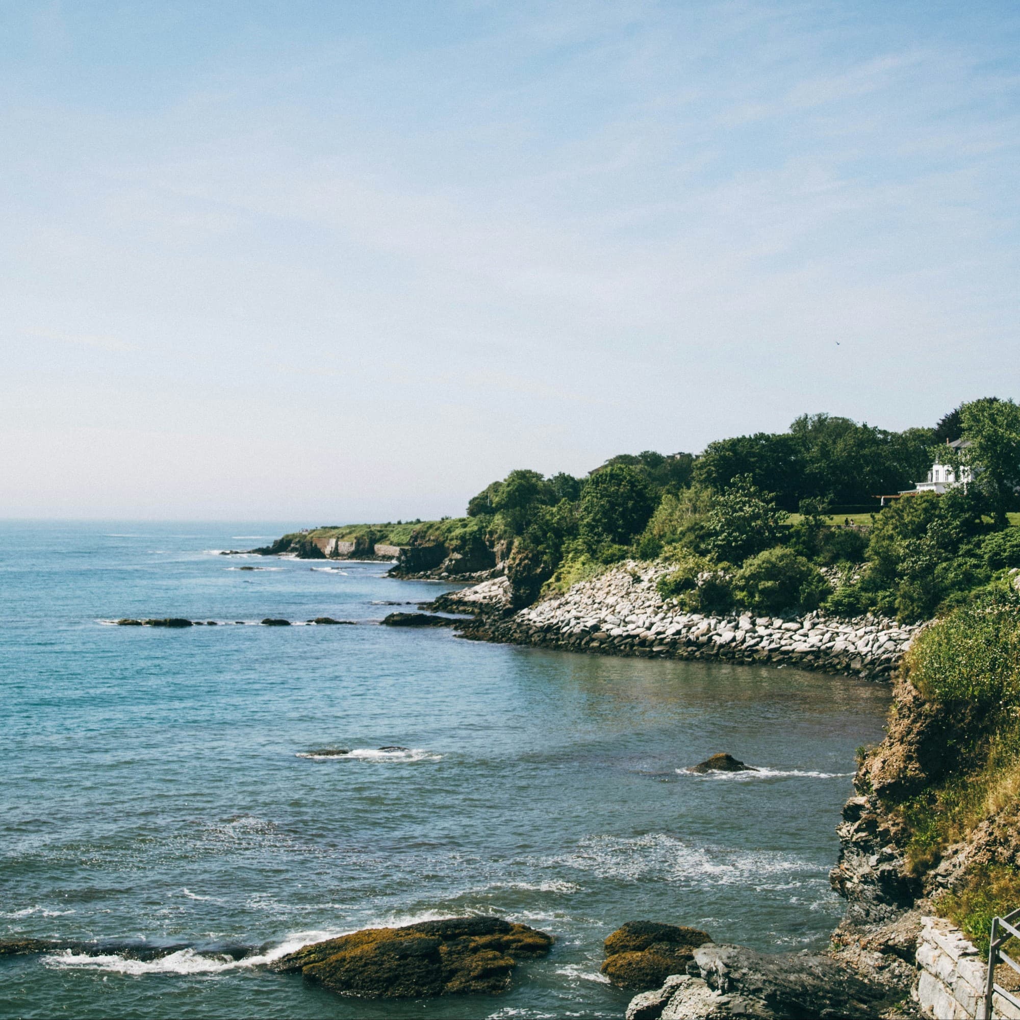 Trees on the sea's coast.
