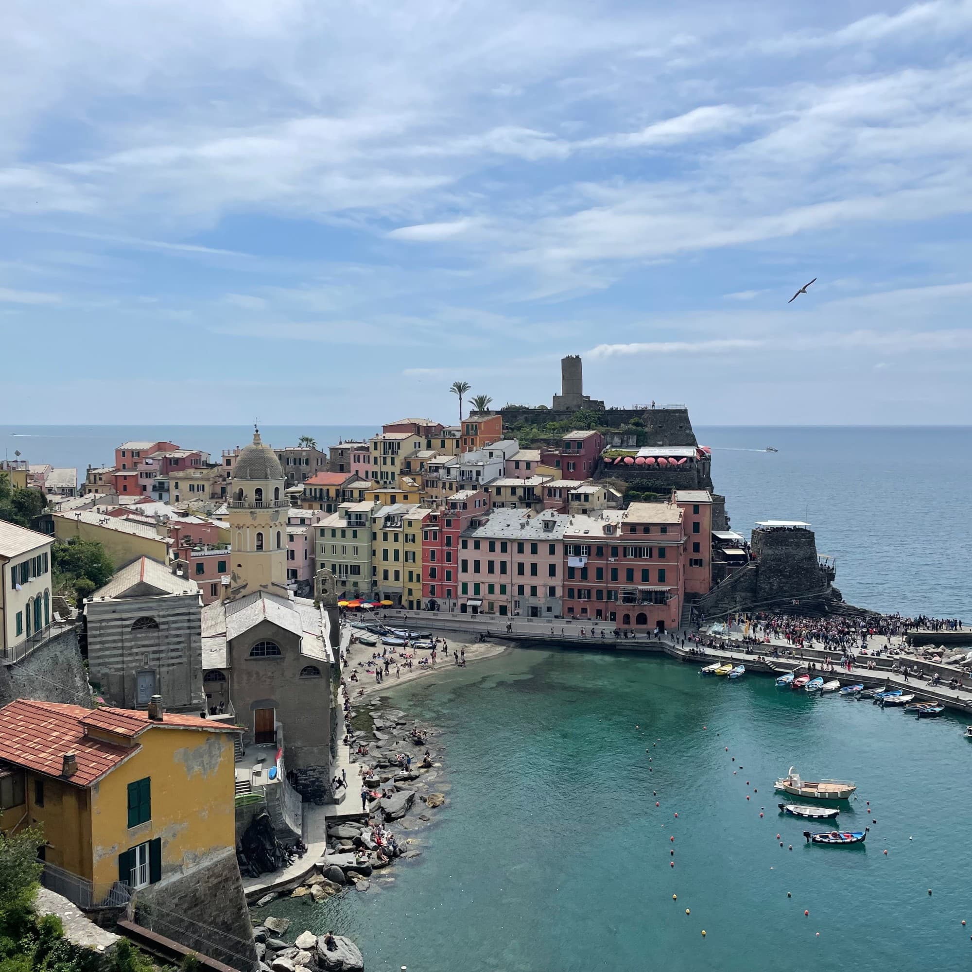 View of colorful buildings in a Cinque Terre town near ocean during daytime.