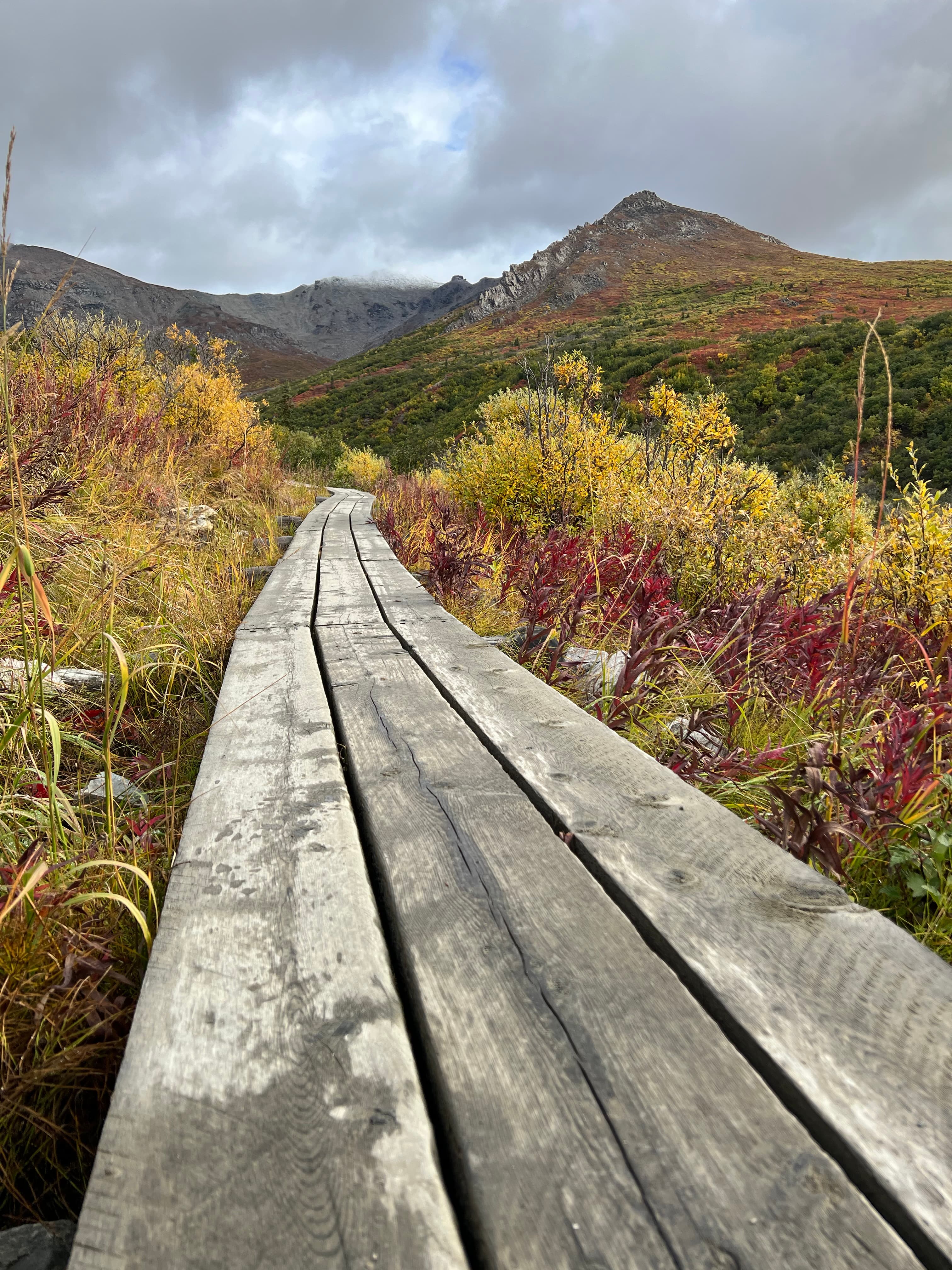 A wooden hiking trail surrounded by Autumnal foliage and a mountain in the distance.