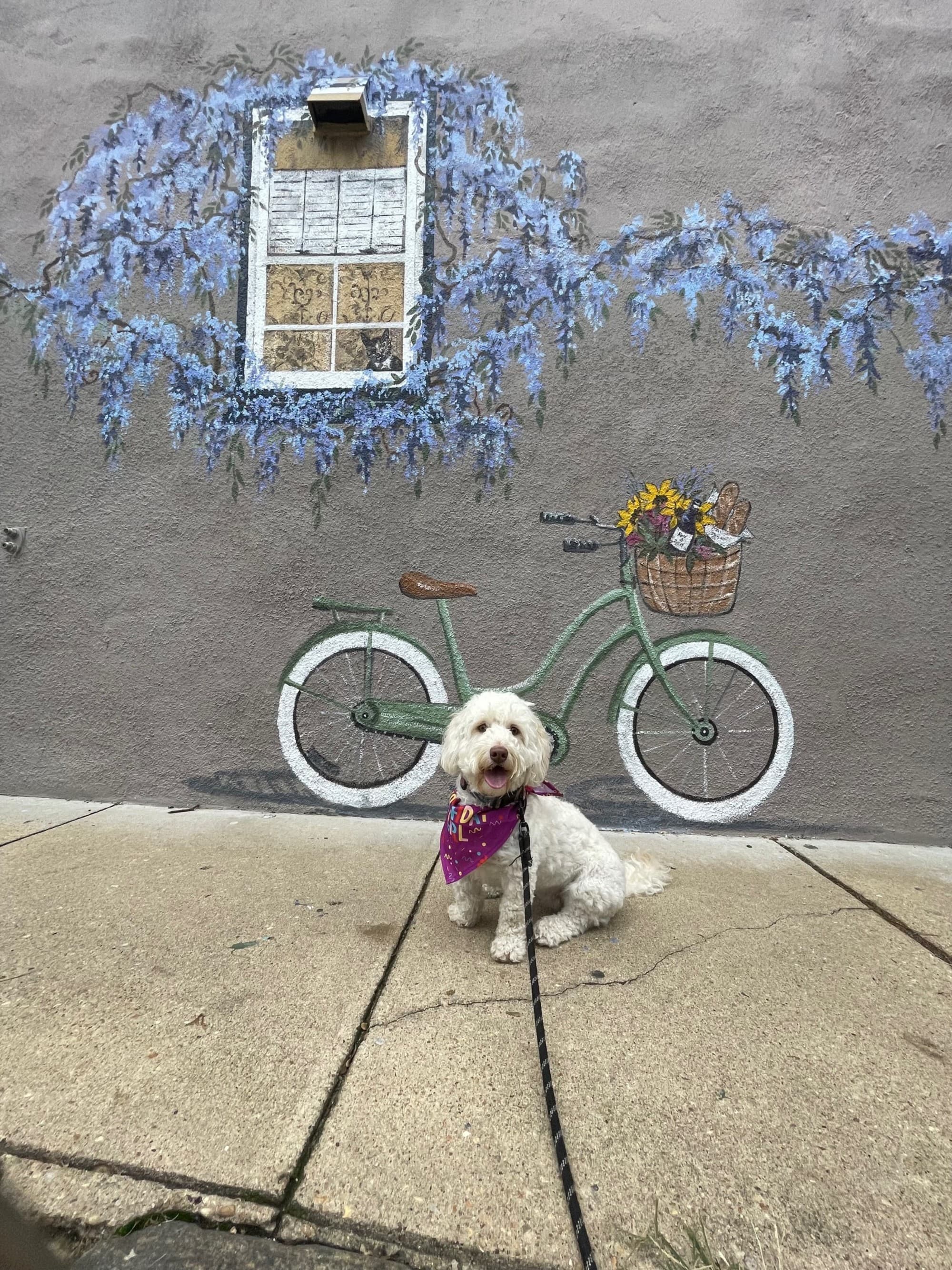 A picture of a dog posing in front of a painted wall.