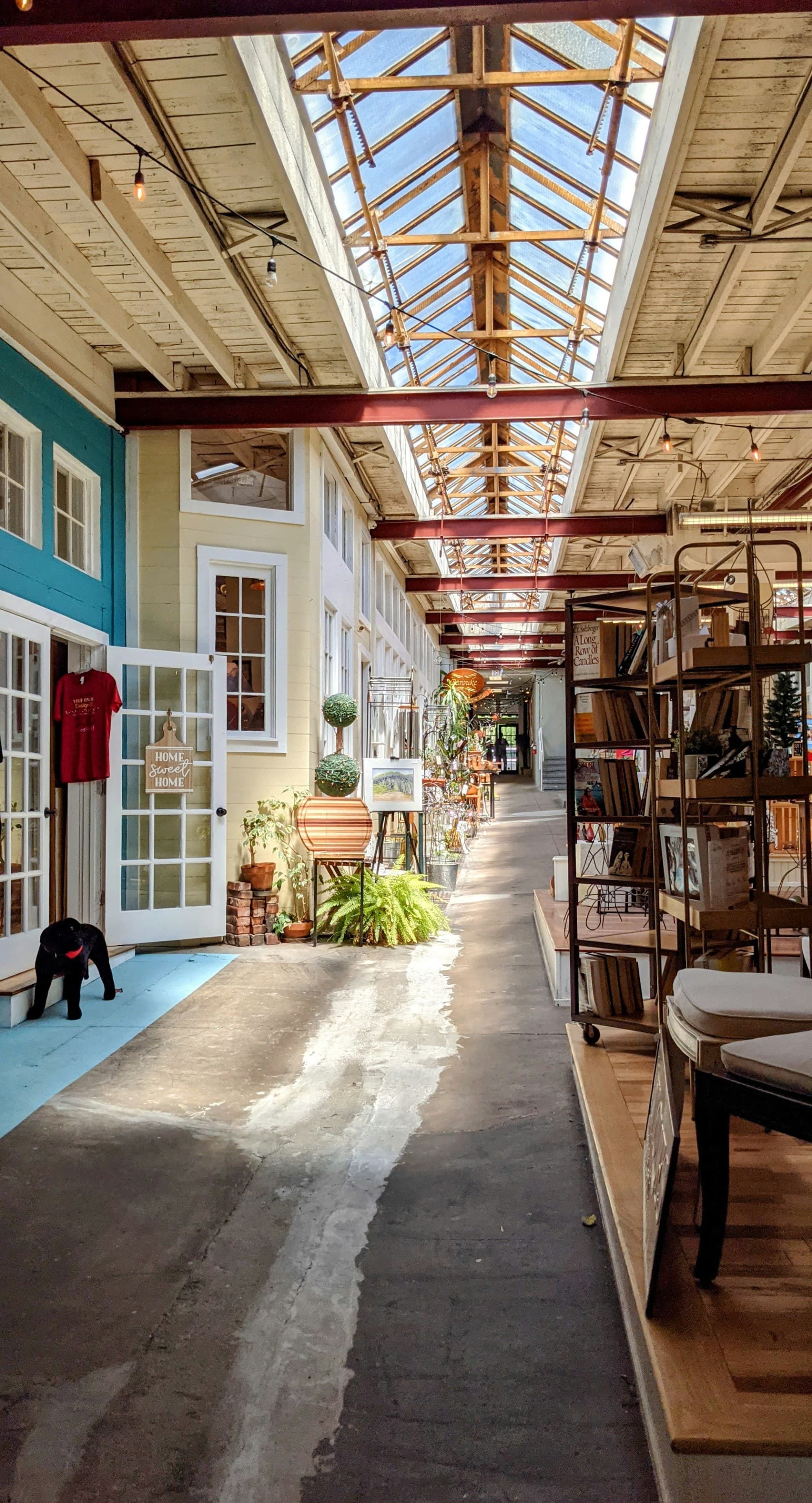 A photo of a hallway with a skylight, wooden panels, a white door with blue trim, wooden shelving and potted plants.