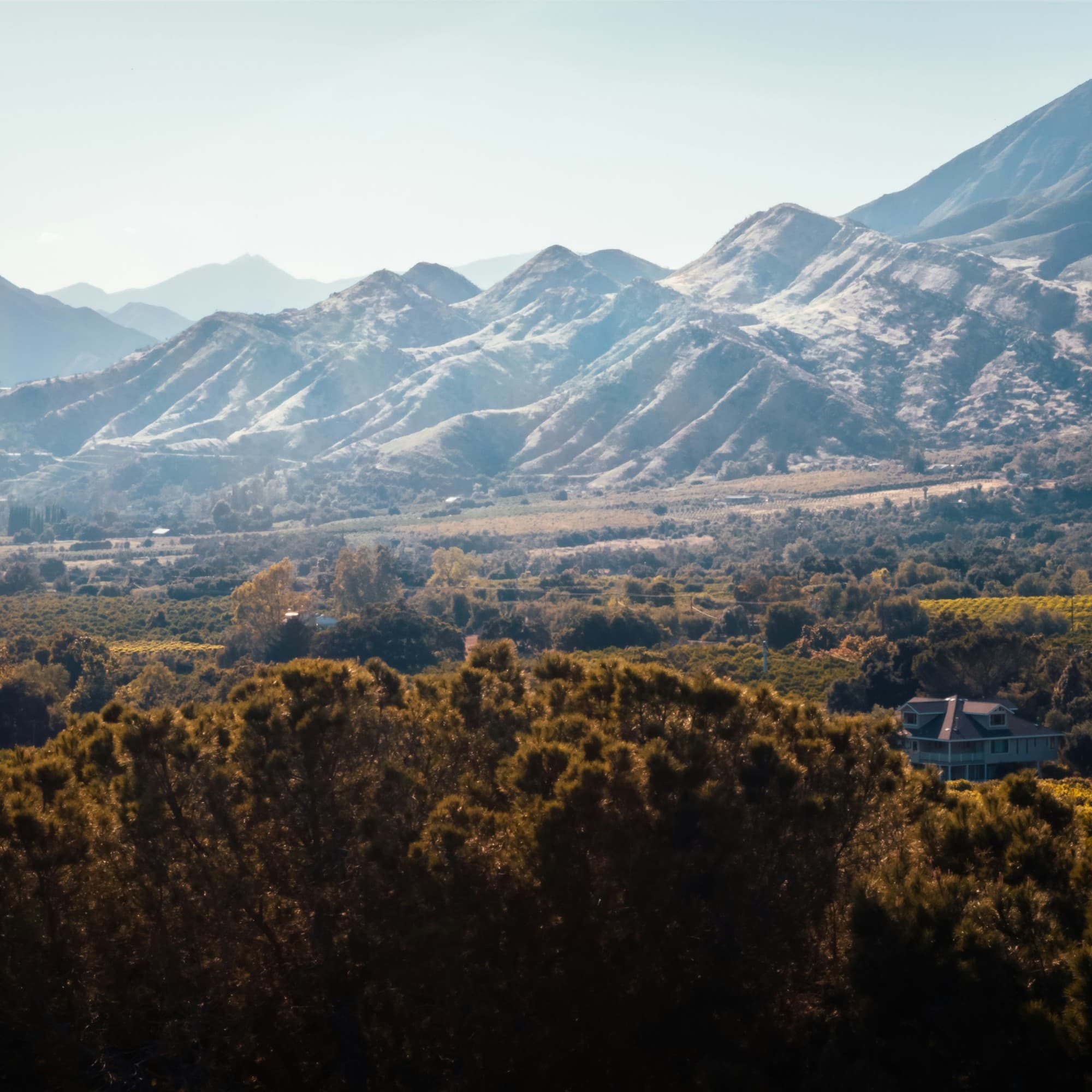 A beautiful view of desert brush and mountains in the hazy distance.