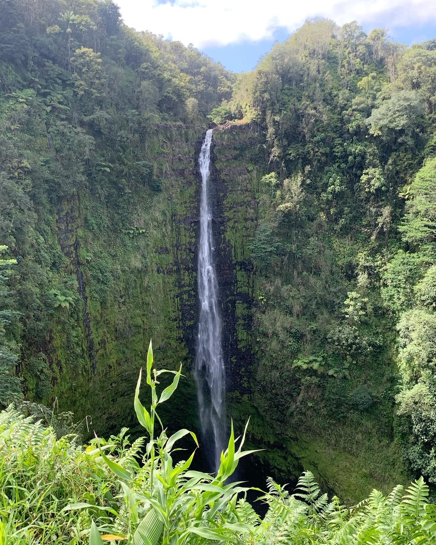 beautiful waterfall on a lush cliff