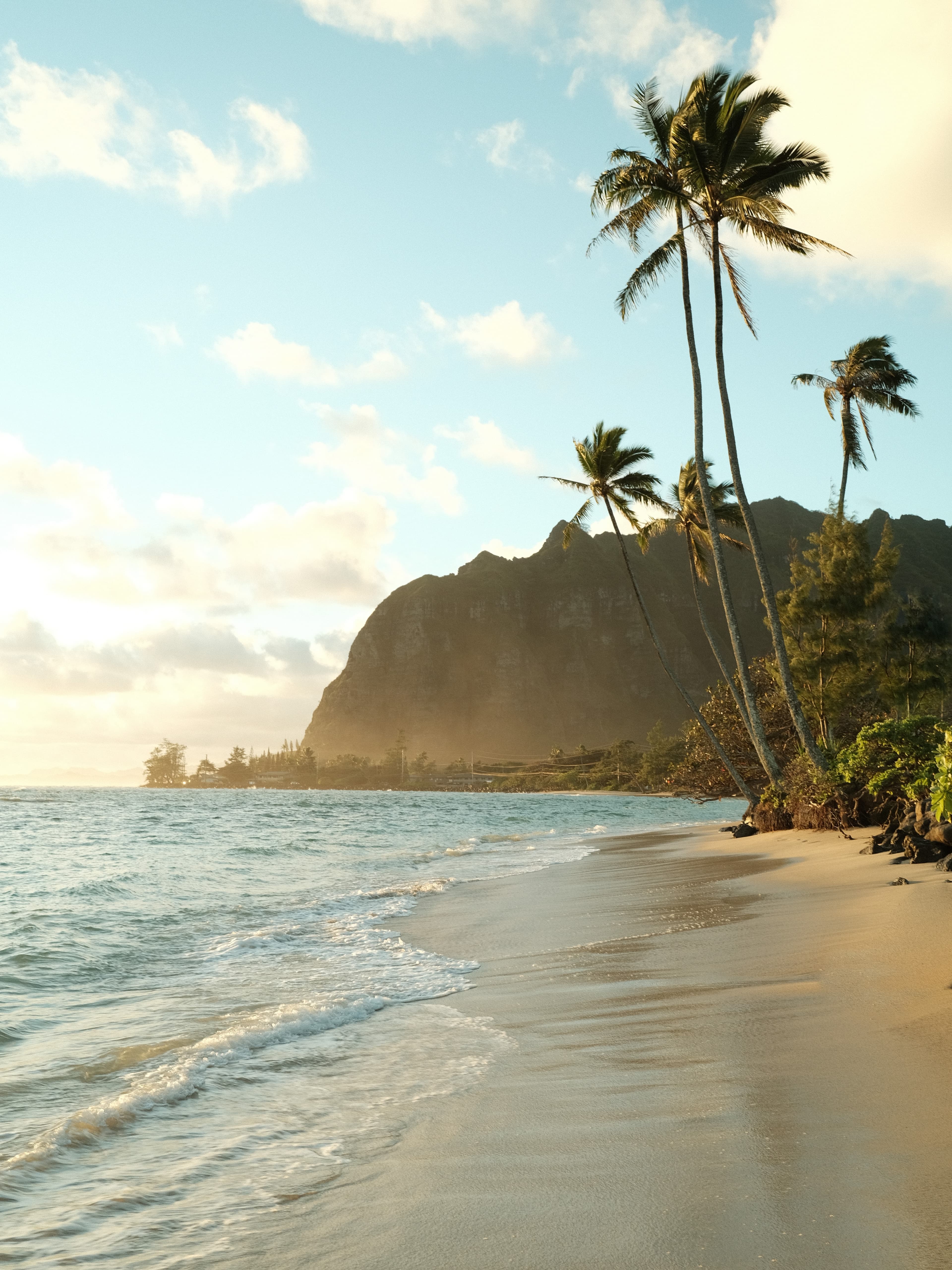 Beach with palm trees during daytime