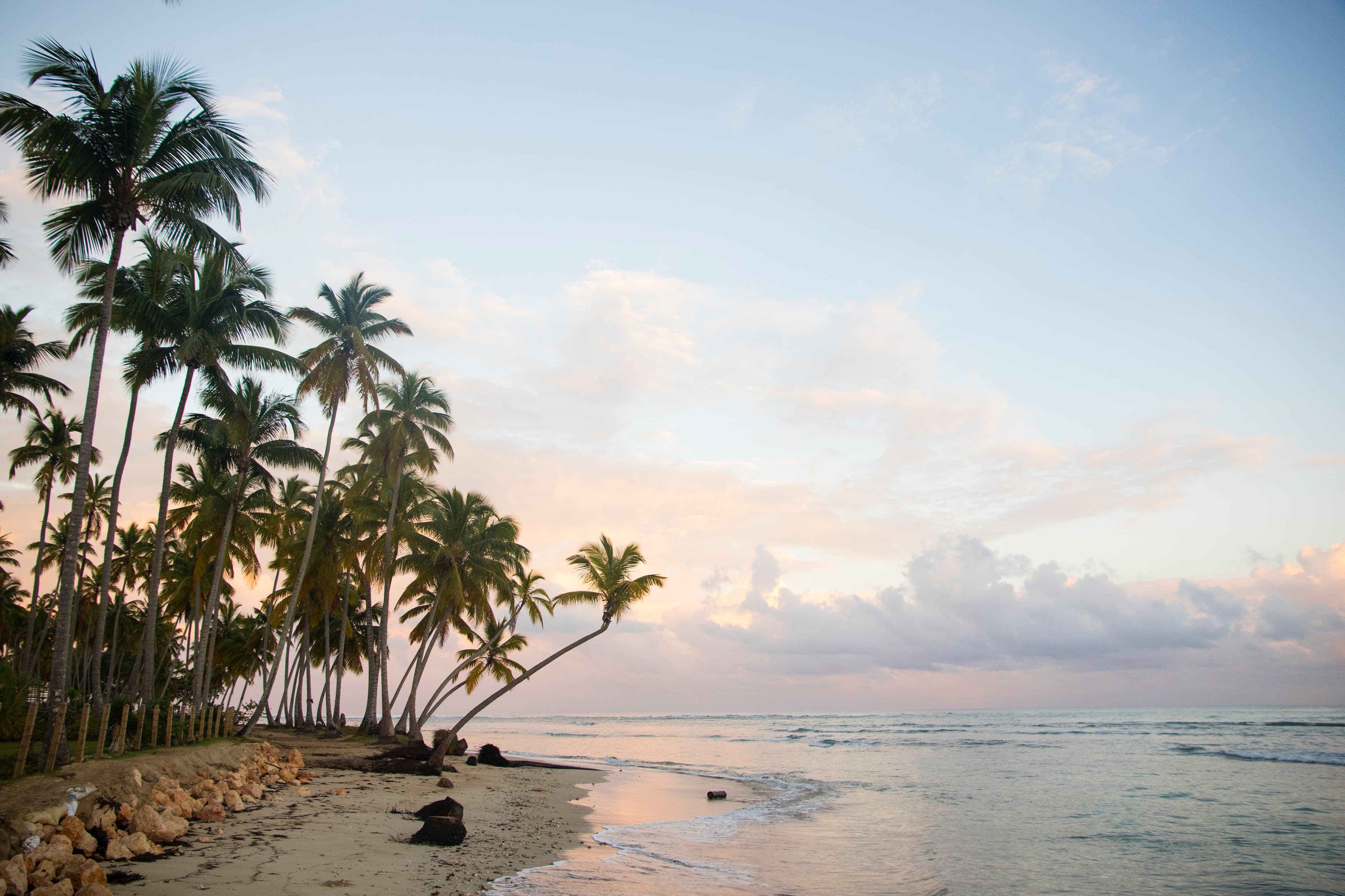 Tall palm trees on the beach in Dominican Republic with pink and white clouds in the sky