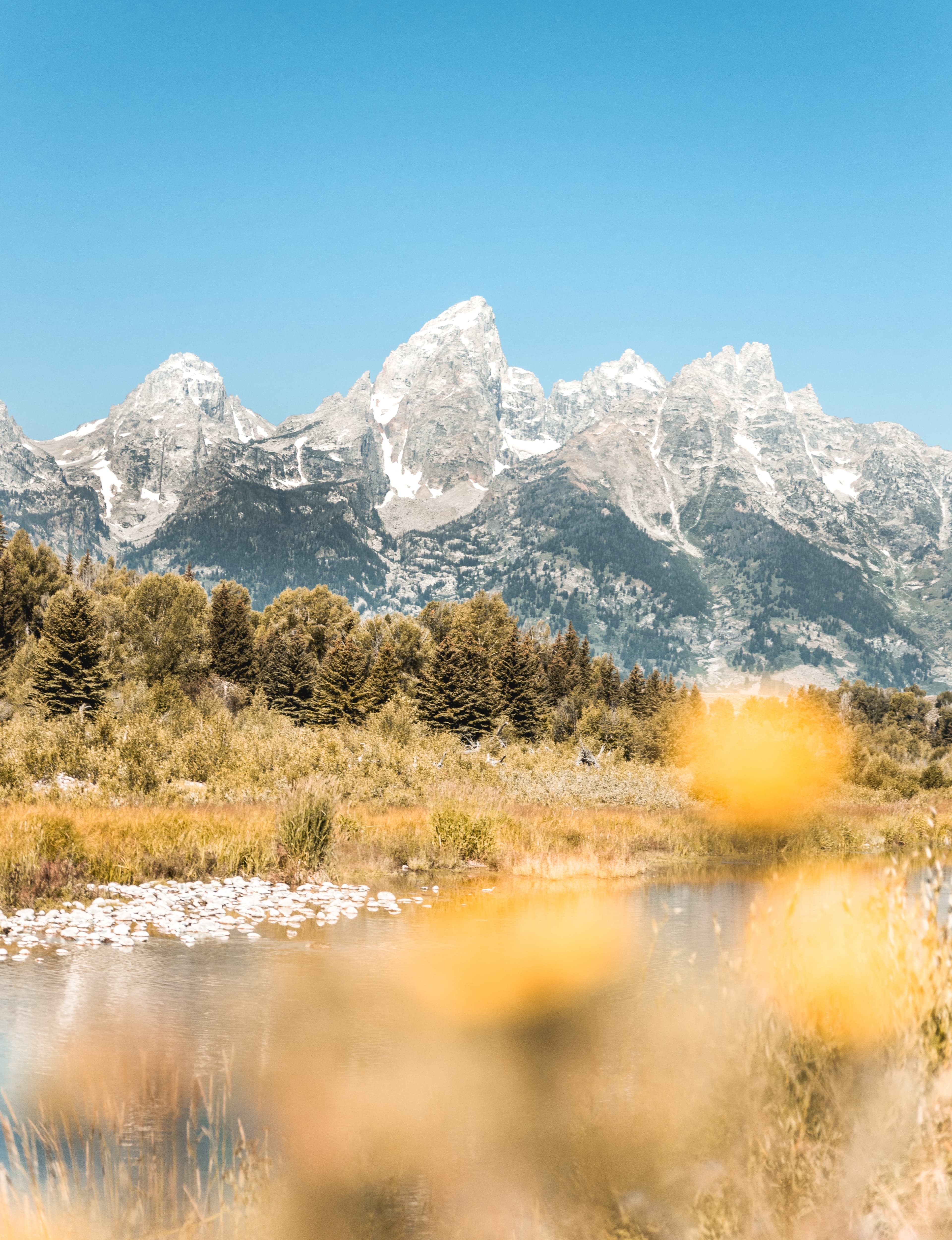 Trees and river with mountains in the background during daytime