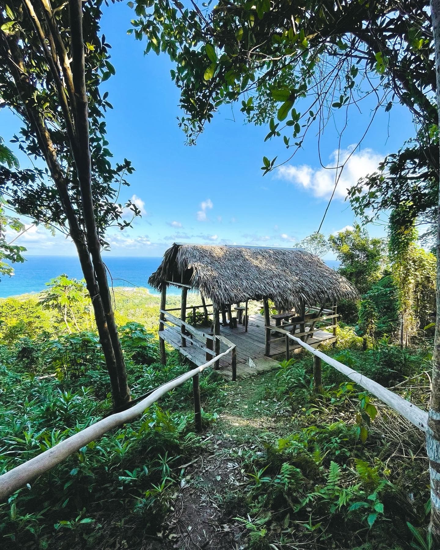 A pathway toward a tree house with tropical foliage.