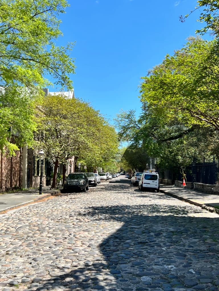 Road surrounded by trees