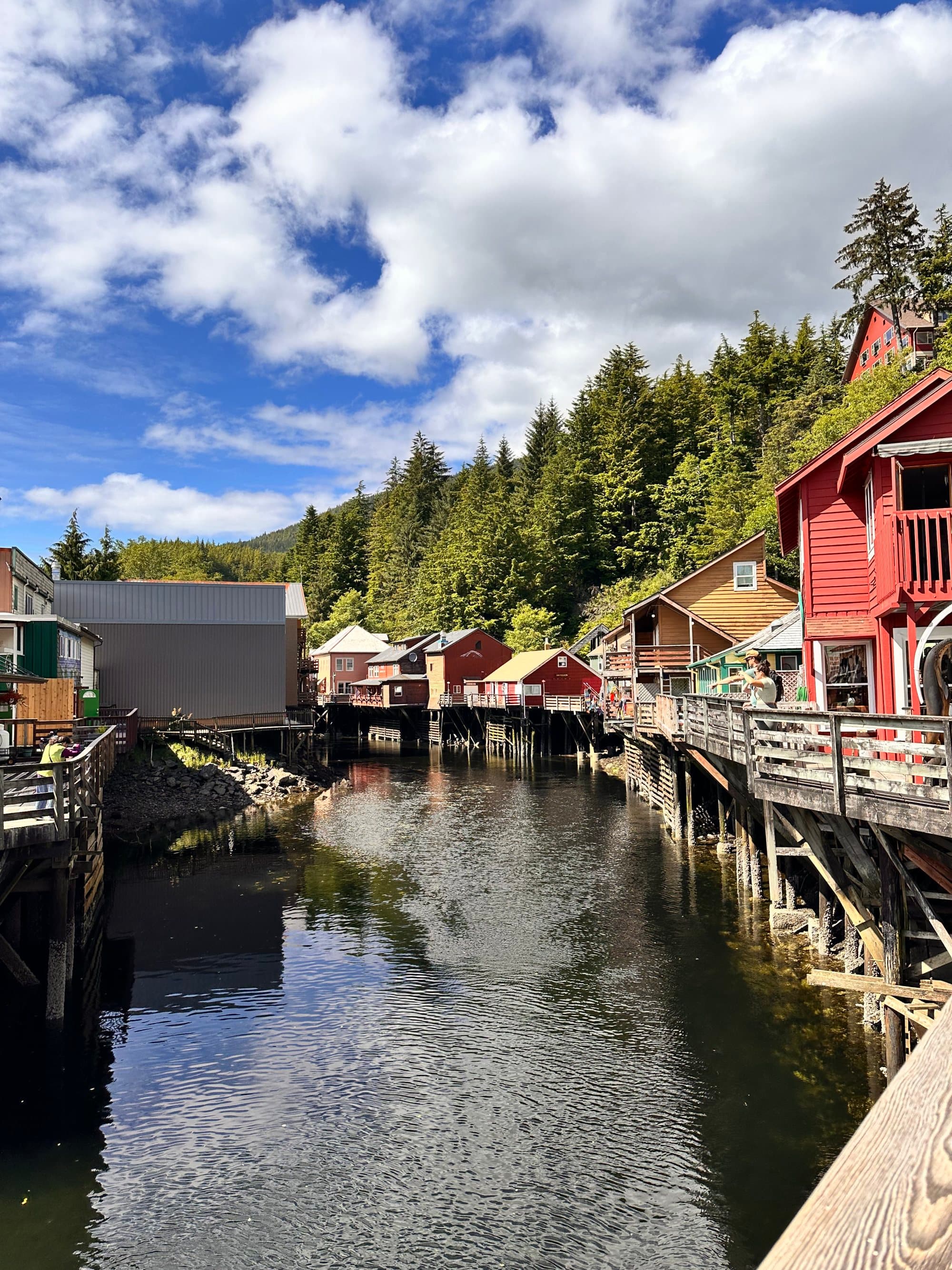 Farm-style houses alongside a creek with blue skies overhead.