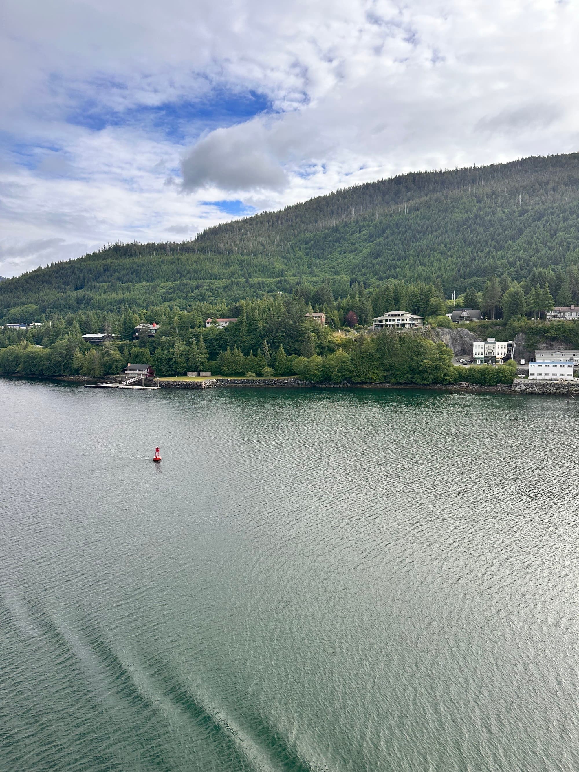 View of the shore with evergreen trees from the cruise ship.