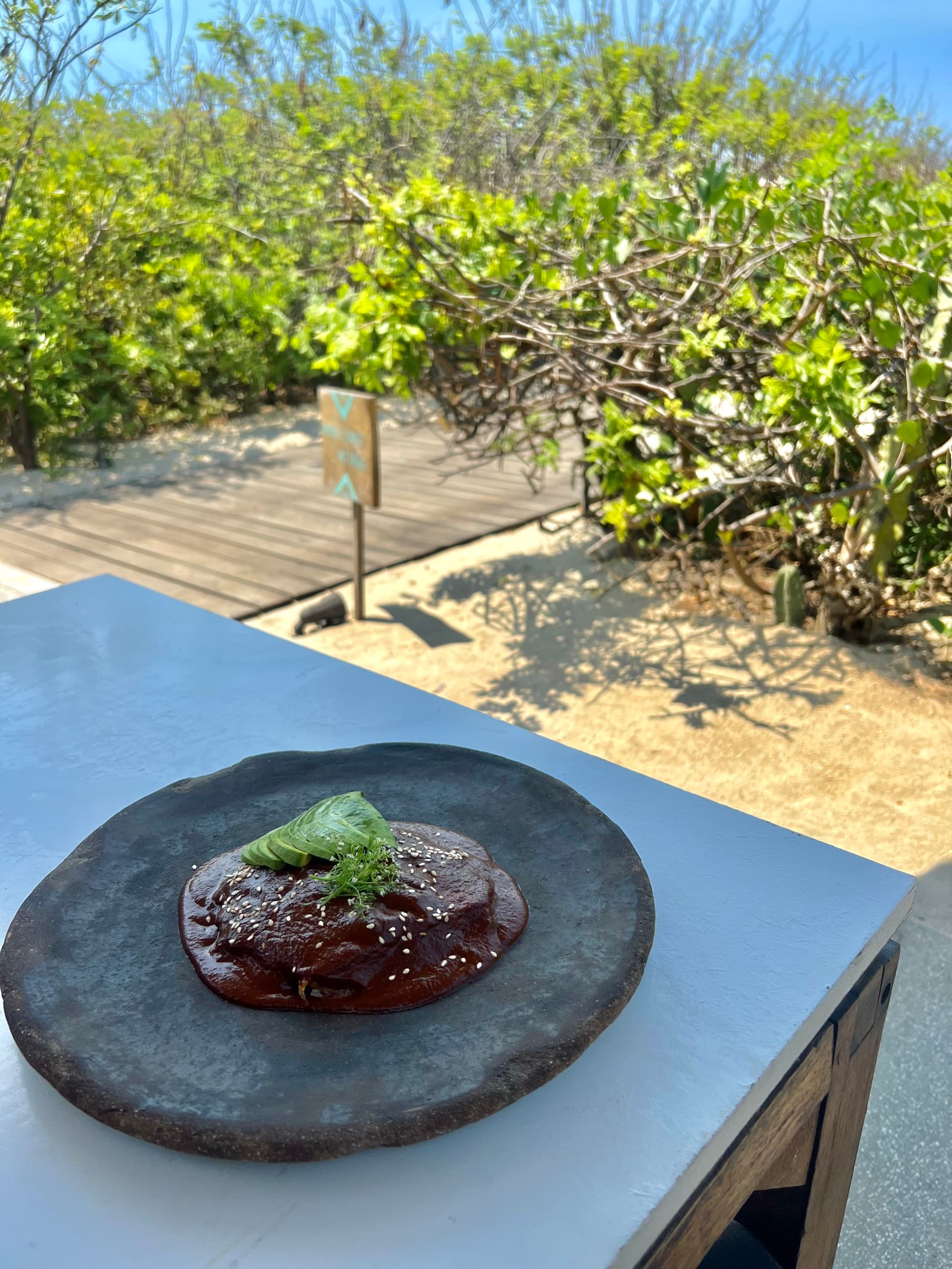 Breakfast on a stoneware plate with bushes in the background.