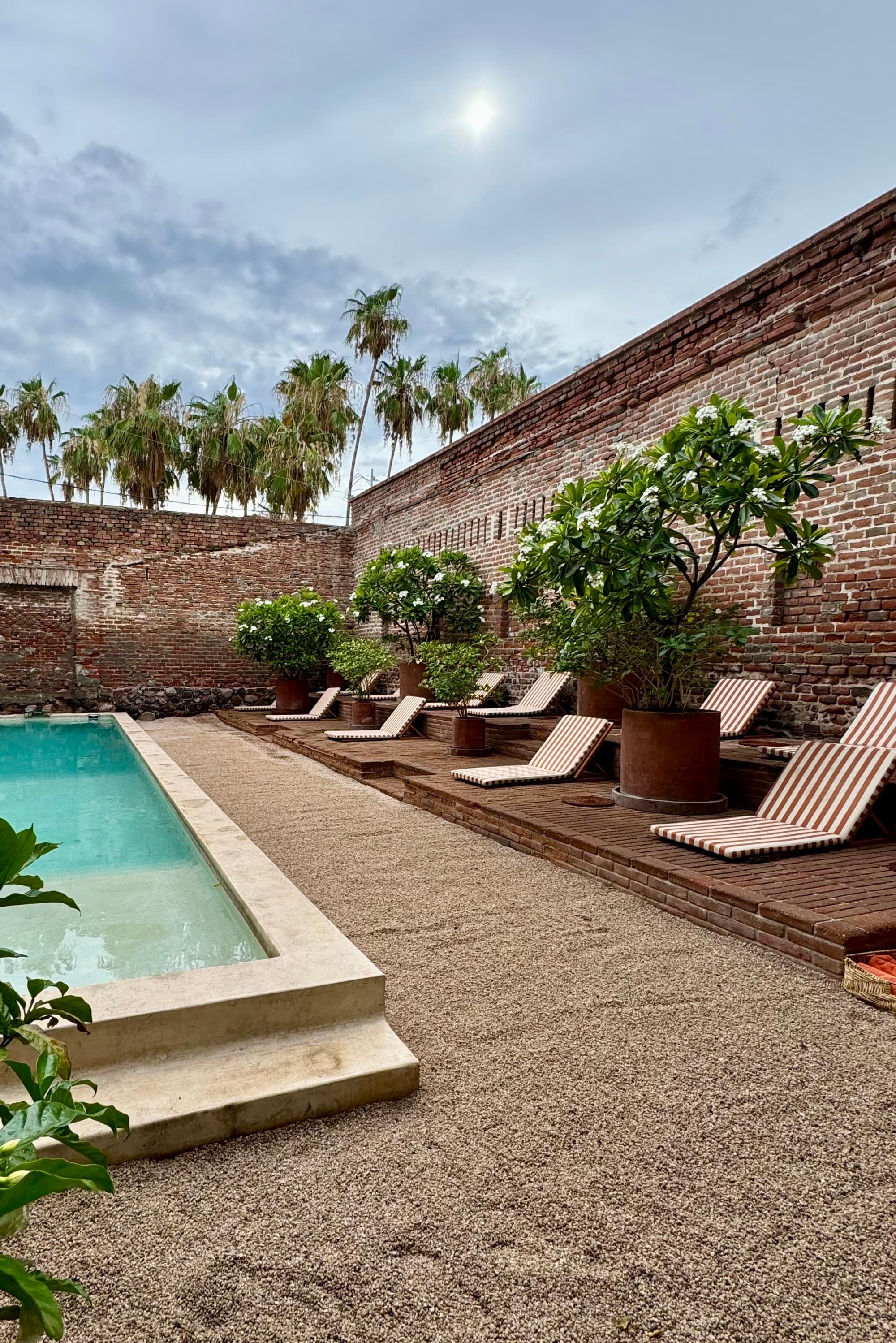 A poolside view of a rectangular pool surrounded by lounge chairs and palm trees at a resort in Baja California Sur