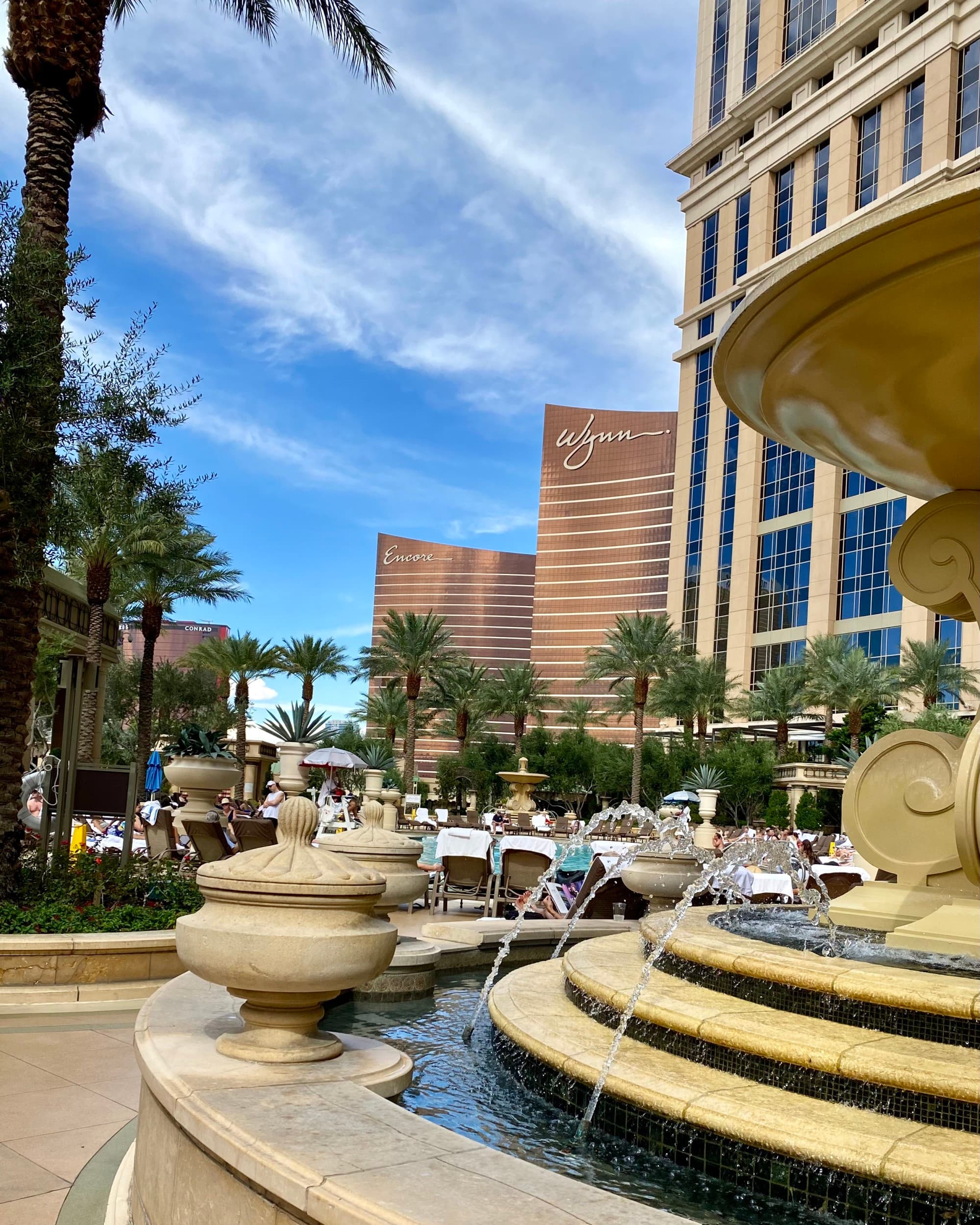 A view of The Wynn Hotel in the distance with a close-up view of a fountain.