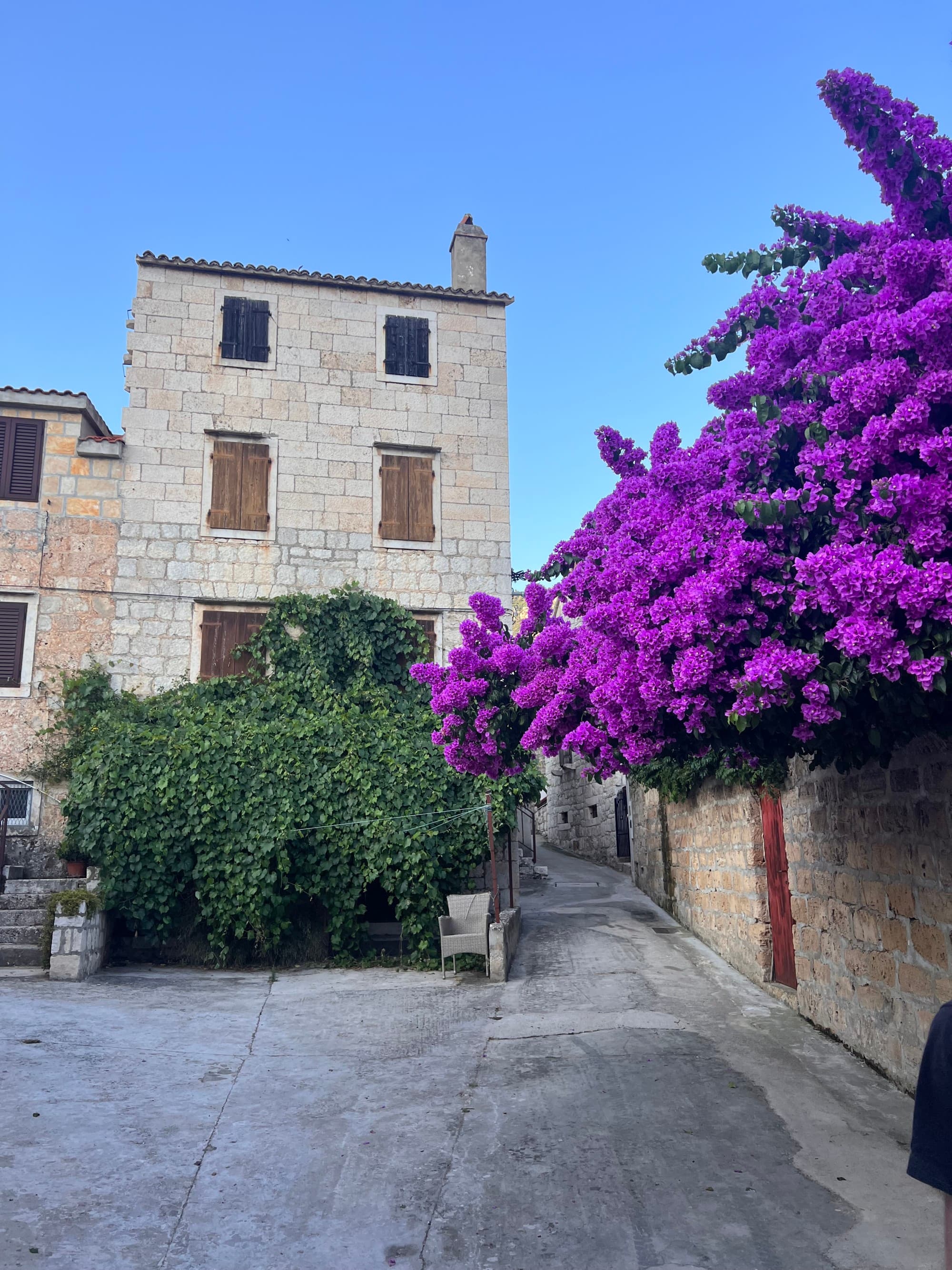 View of a brick building with purple flowers growing outside.
