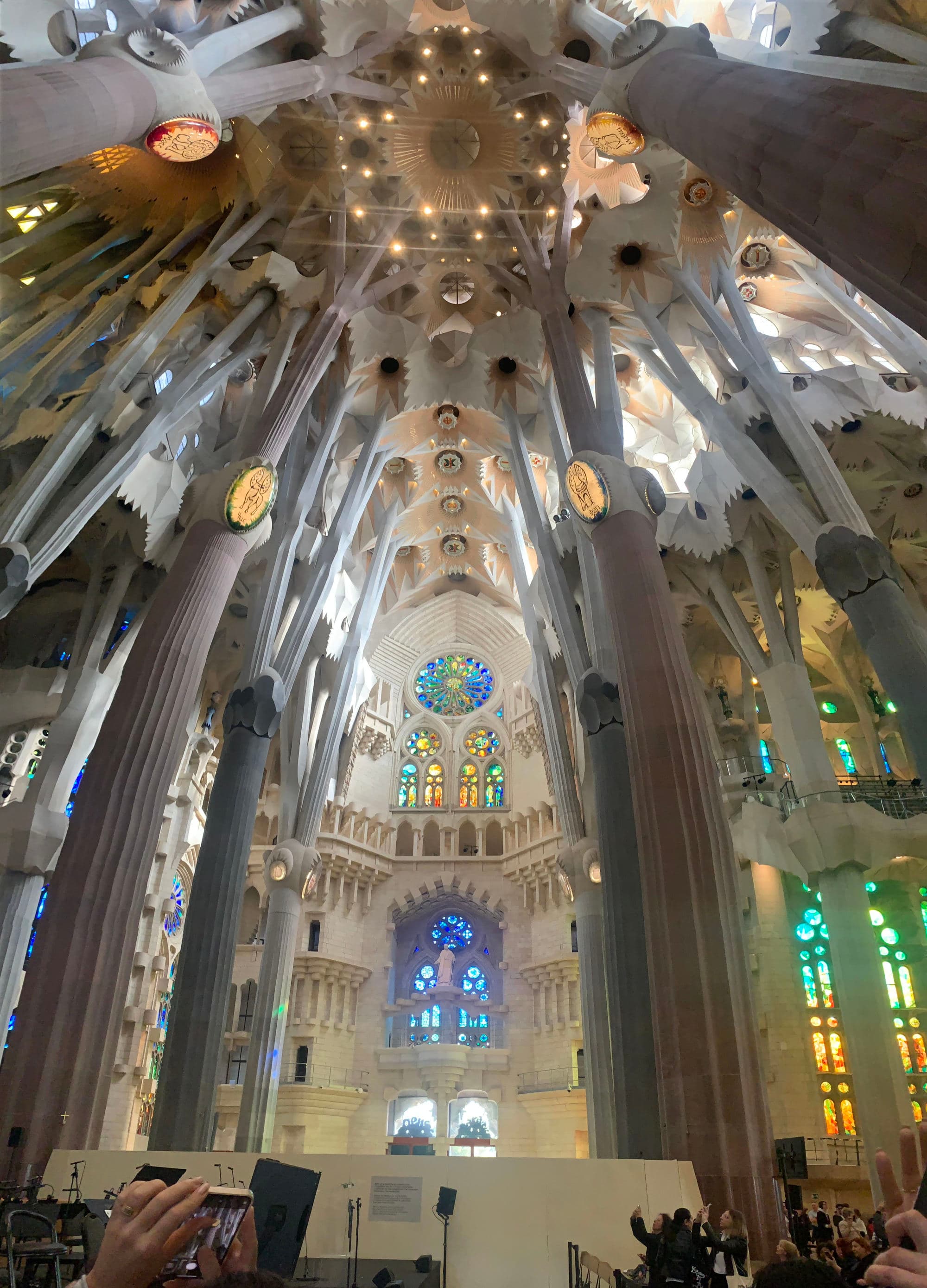 Interior of La Sagrada Familia with white walls and organic-looking columns.