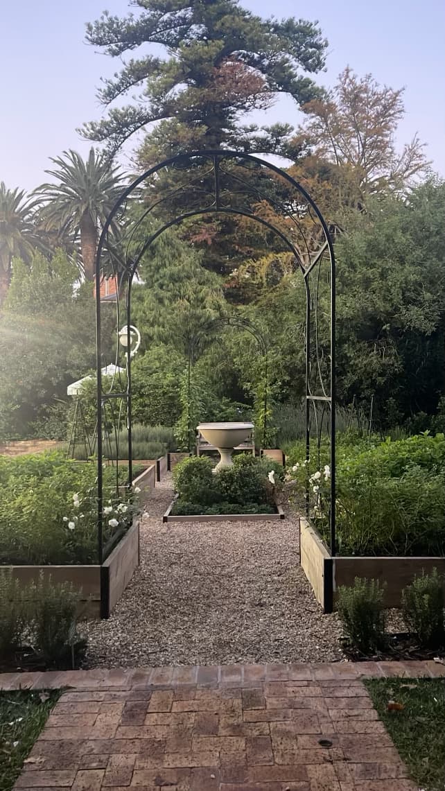 Trellis with green foliage in a garden.