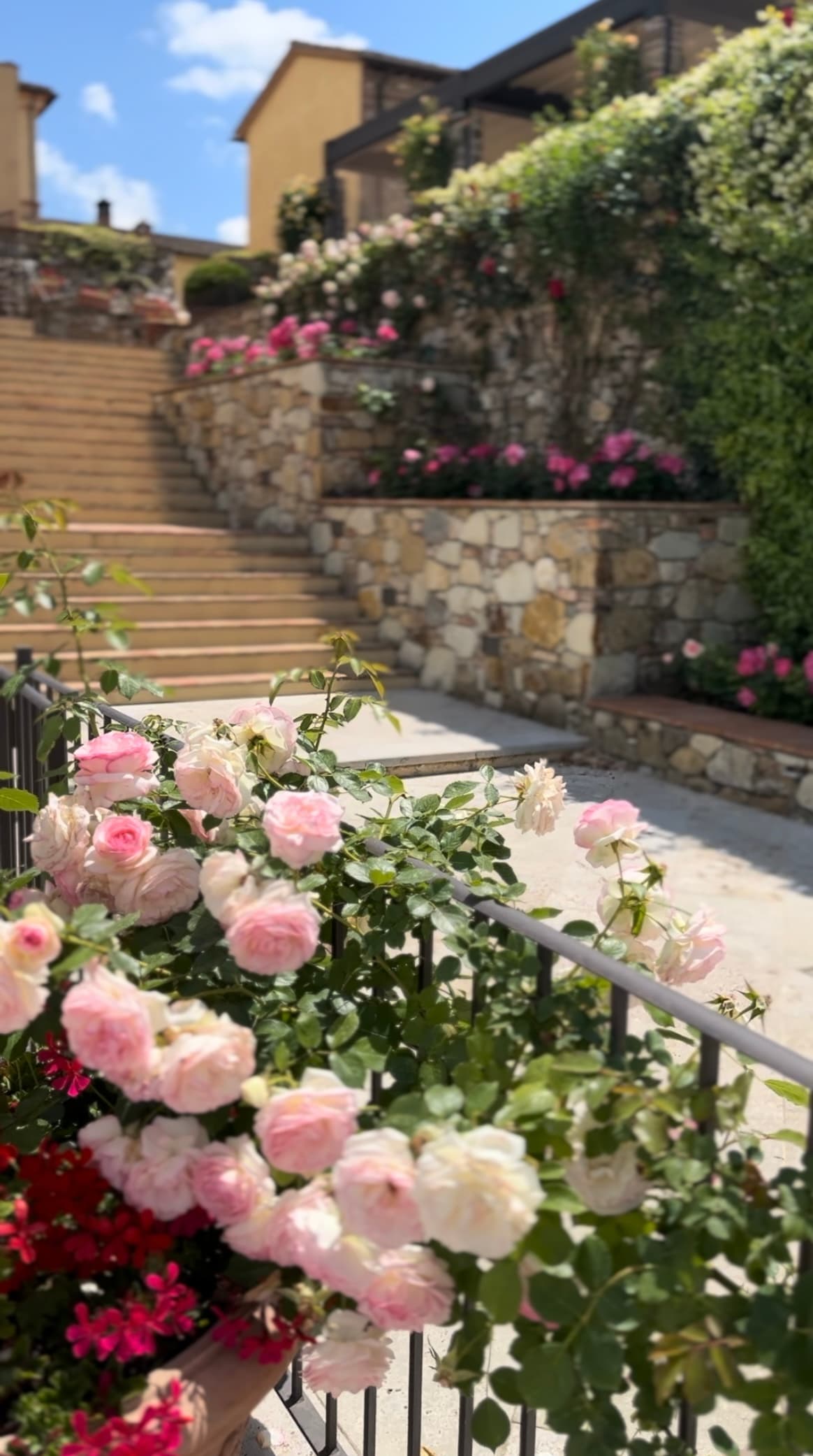 The steps of the hotel framed by climbing roses along the railing on a sunny day.
