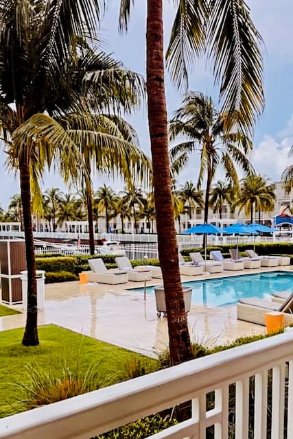 View of a swimming pool area surrounded by palm trees