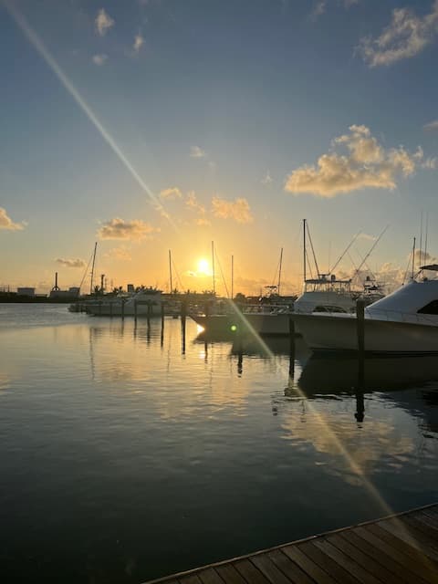 A sunset over the marina