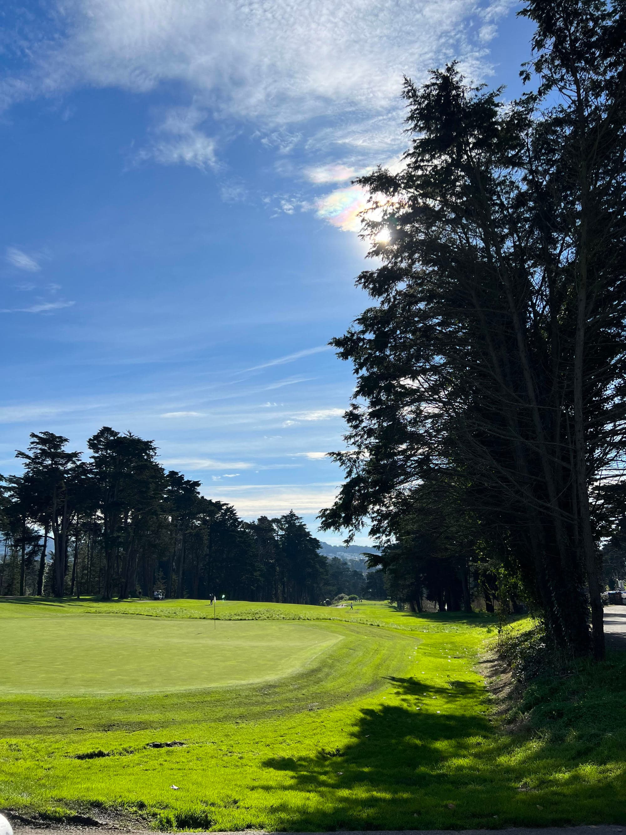 This image depicts a golf course with trees and a cloudy, blue sky.