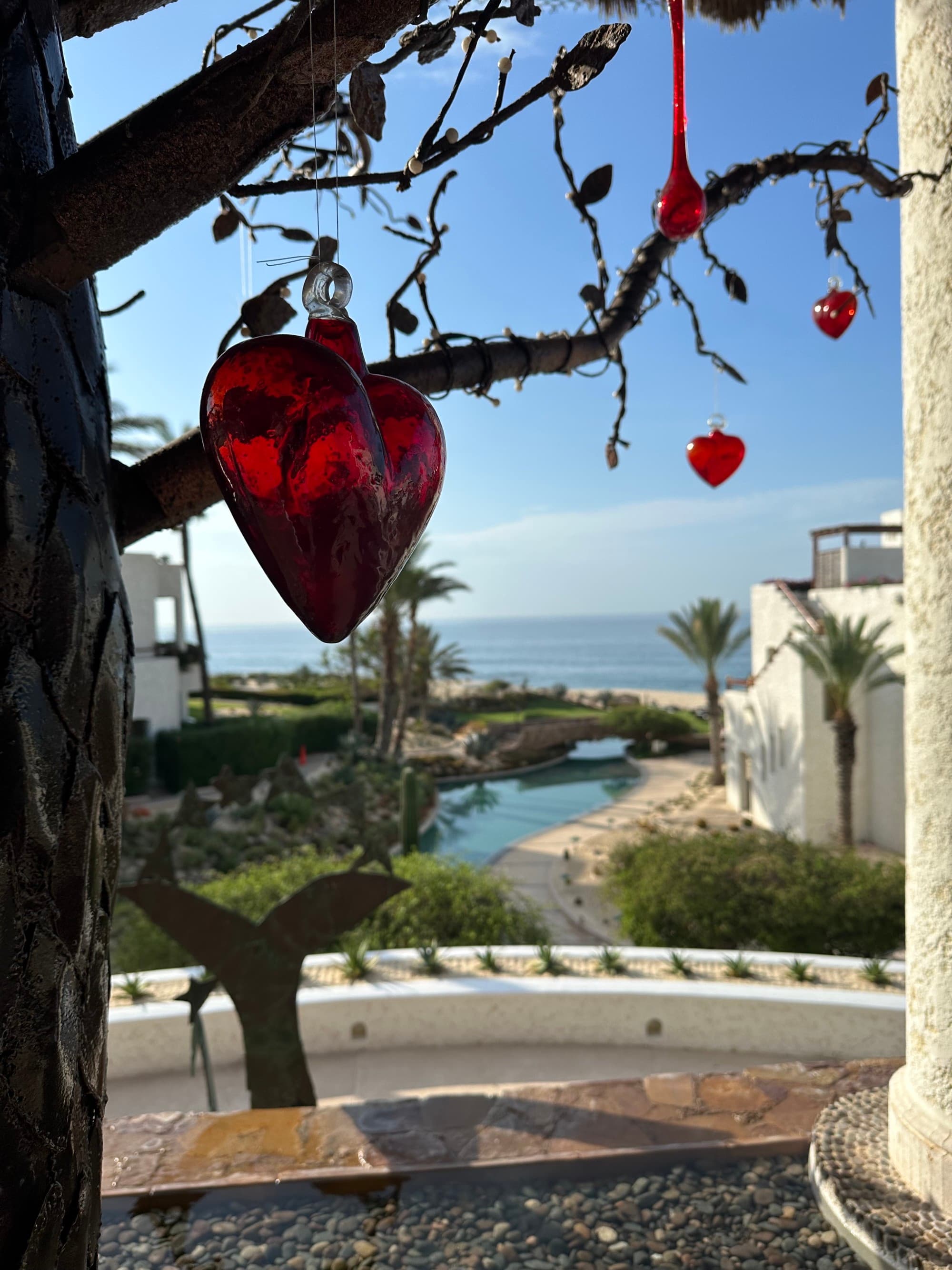 Red blown glass decorations hung from the branches of a tree, above a river flowing into the ocean.