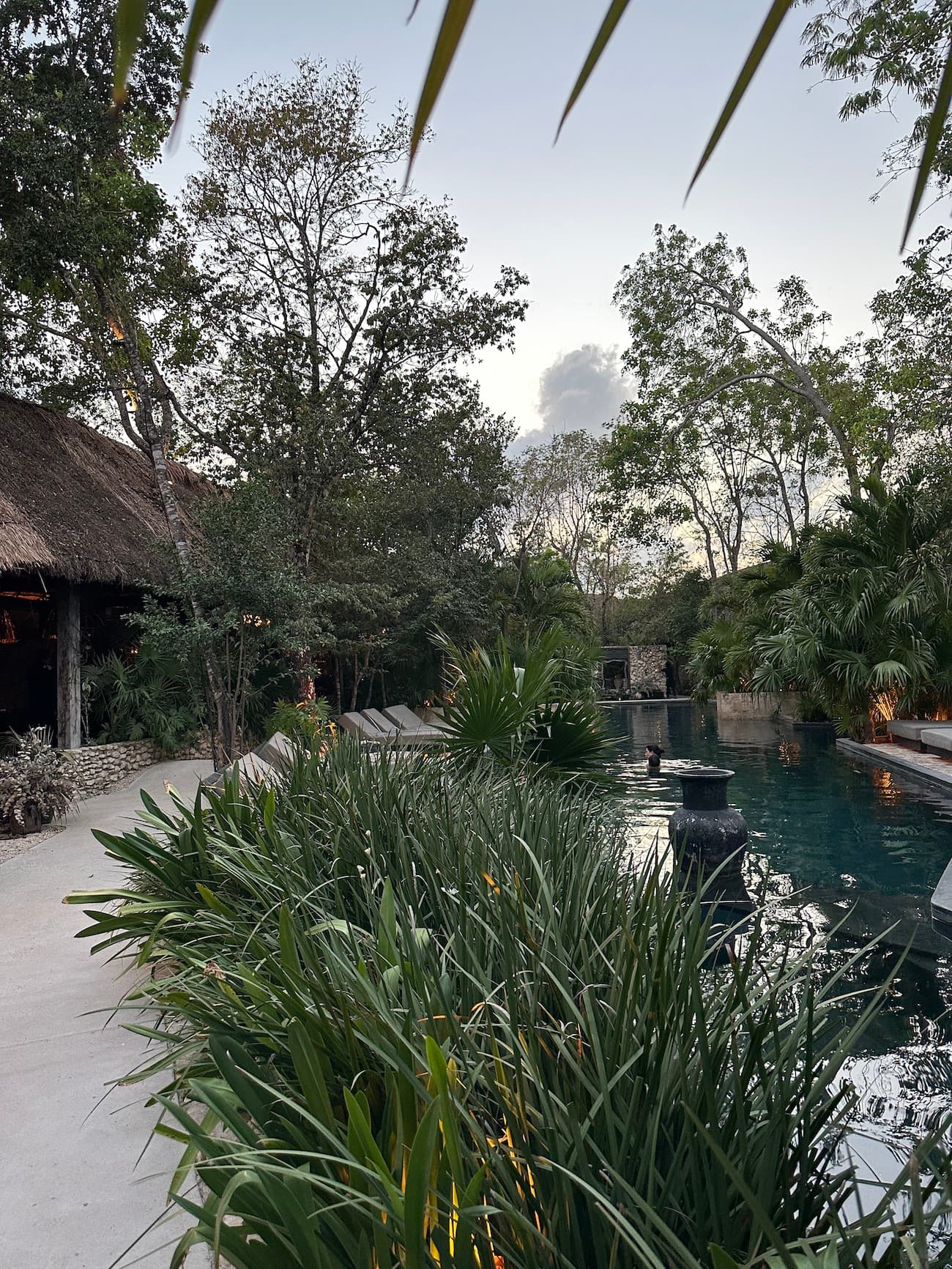 A pool area surrounded by green plants during the daytime