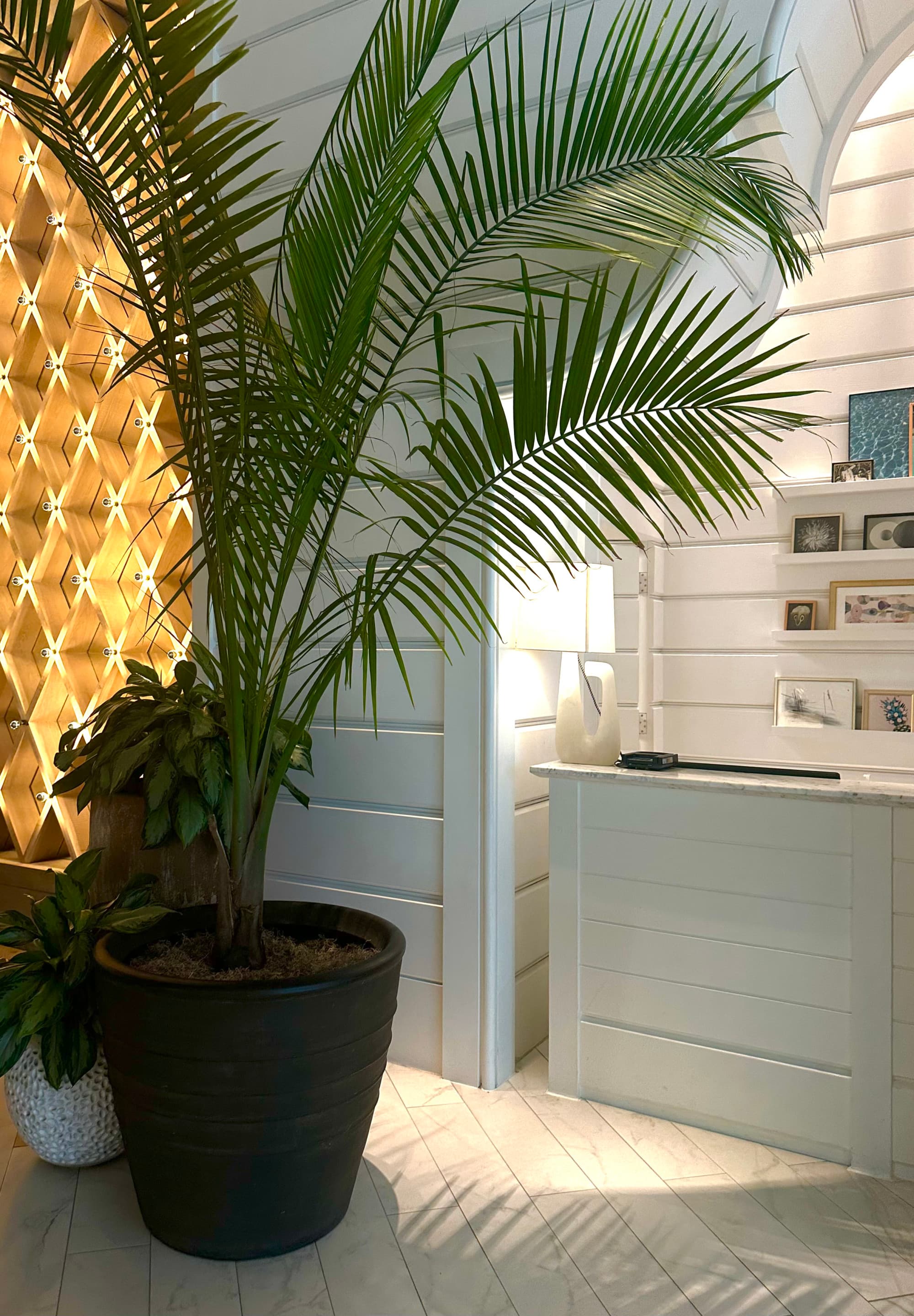 A decorative plant and artwork inside of the hotel.