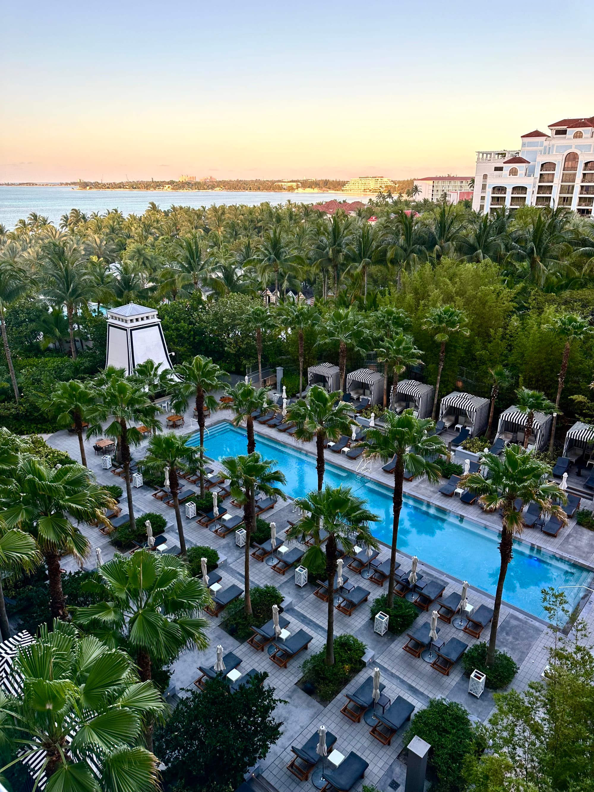 An aerial view of one of the hotel's rectangular shaped pools, amidst palm trees and natural flora.