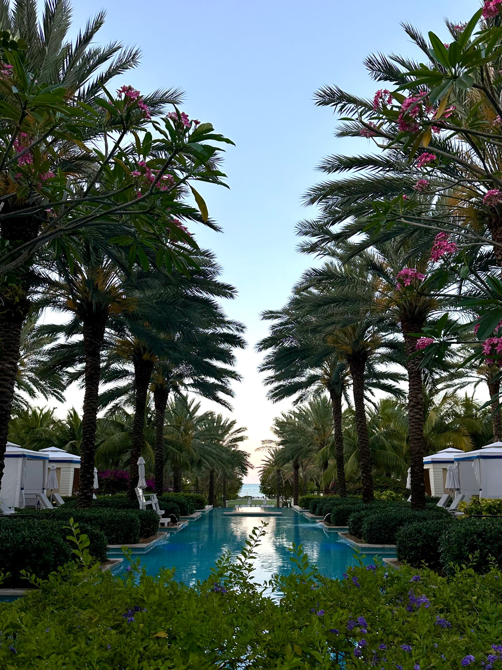 A rectangular shaped pool surrounded by tropical trees and lush greenery on a sunny day.