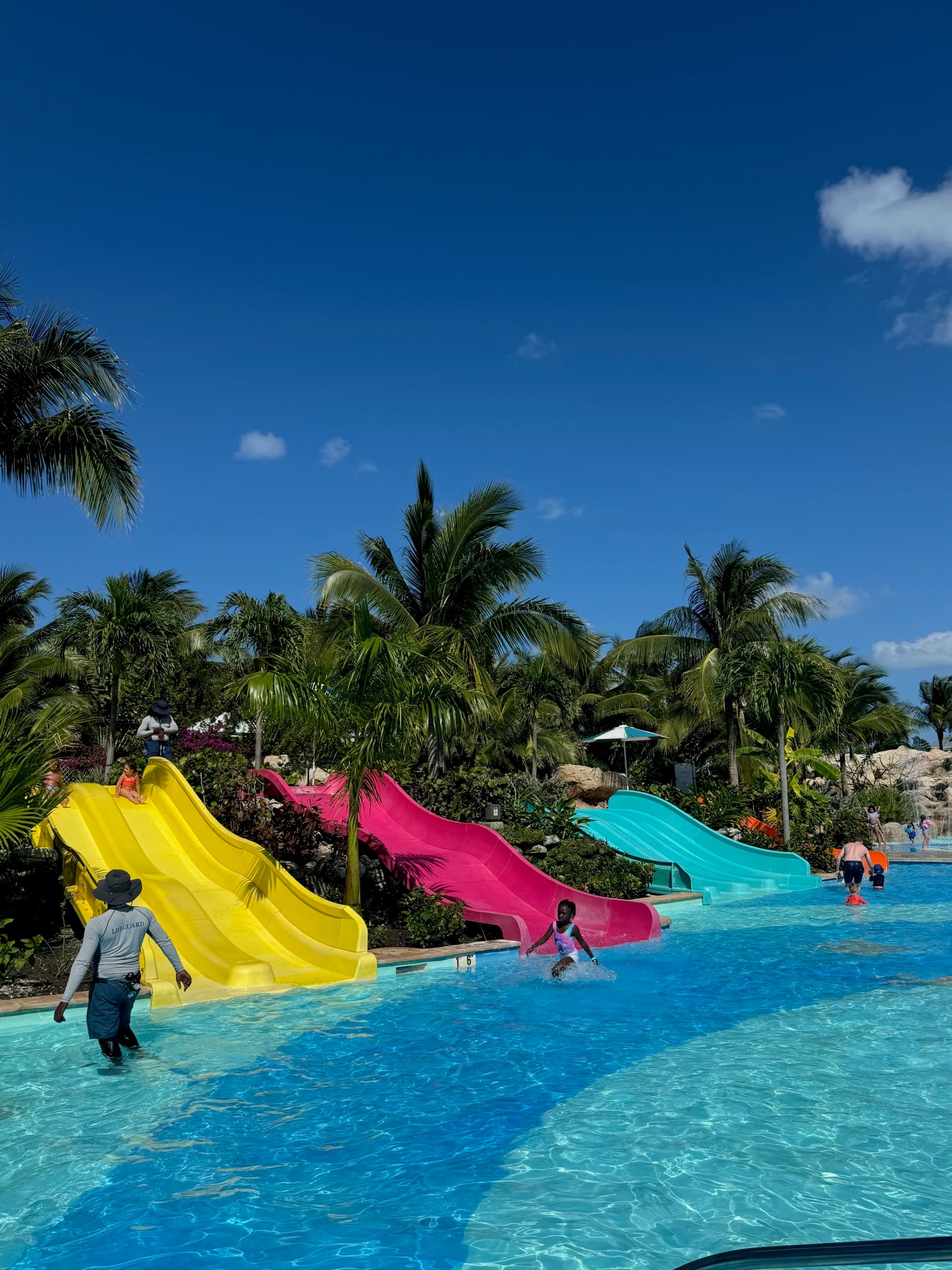 A view of a kids swimming pool with three slides, one yellow, one pink and one blue. There are people in the pool and lush palm trees surrounding them.