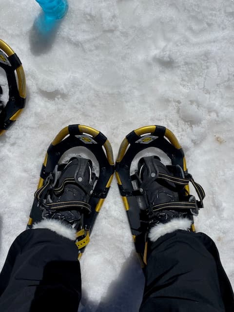A top-down view of someone's snow shoes