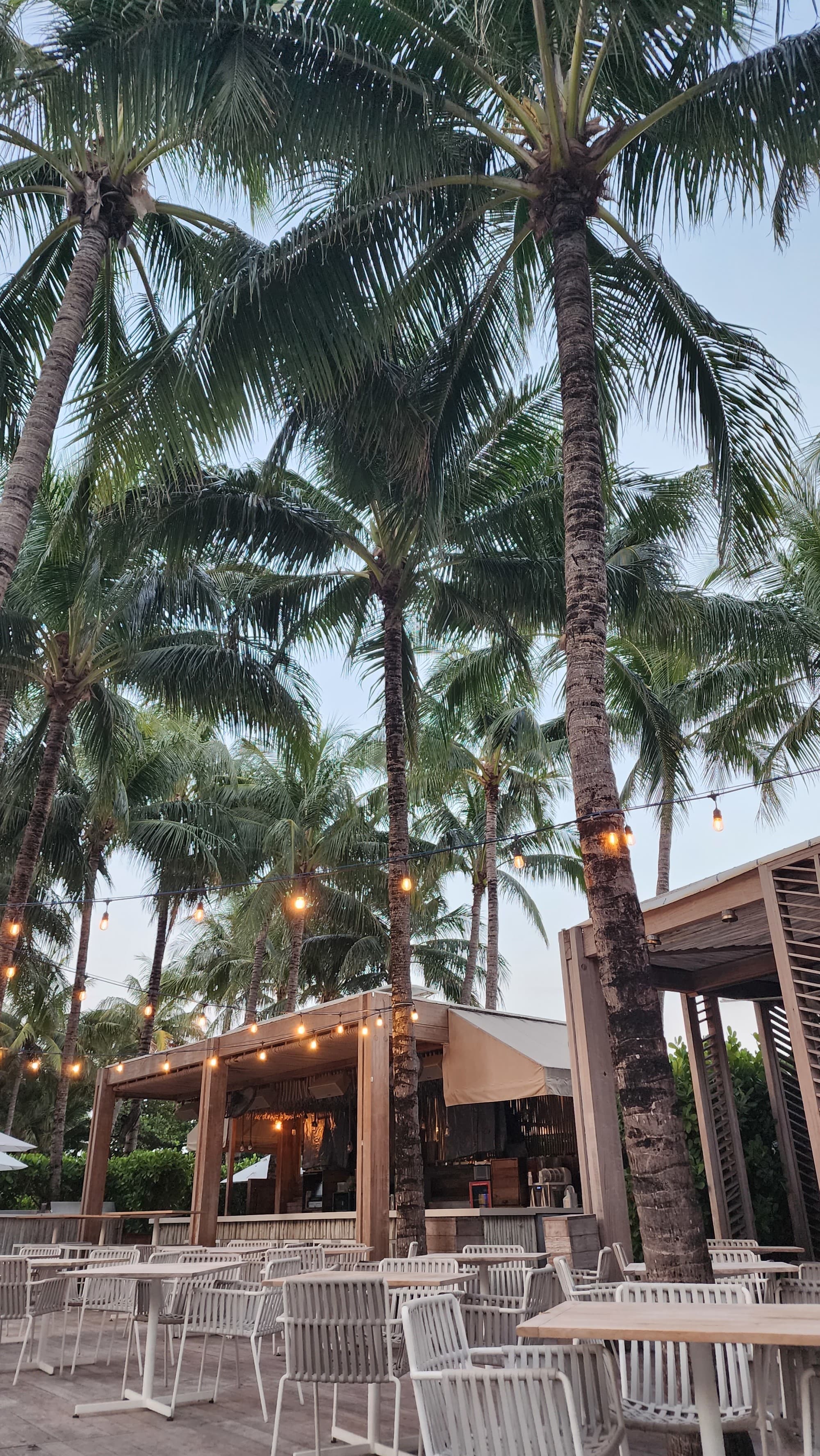 The pool bar at the hotel with string lights, palm trees and white chairs