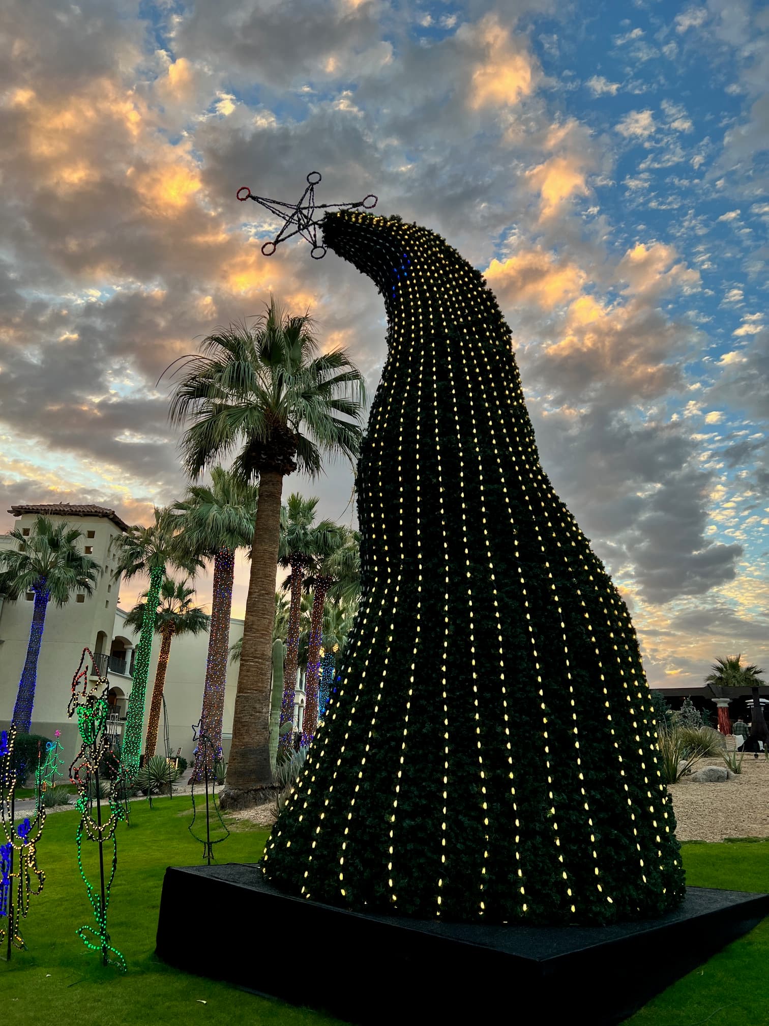 A beautiful curvy Christmas tree at dusk with palm trees in the distance
