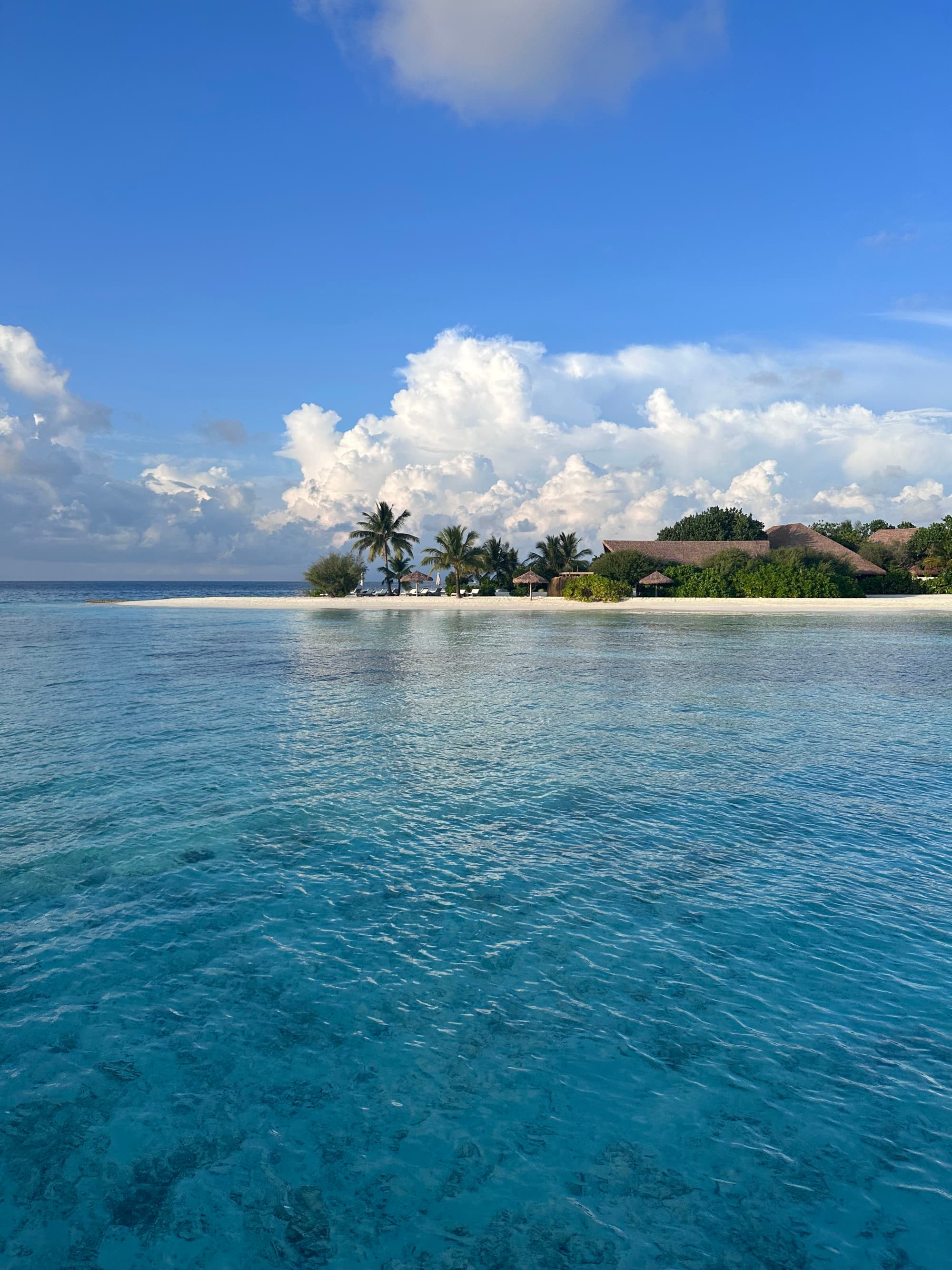 A view of the blue sea with the beach, resort and palm trees in the distance.