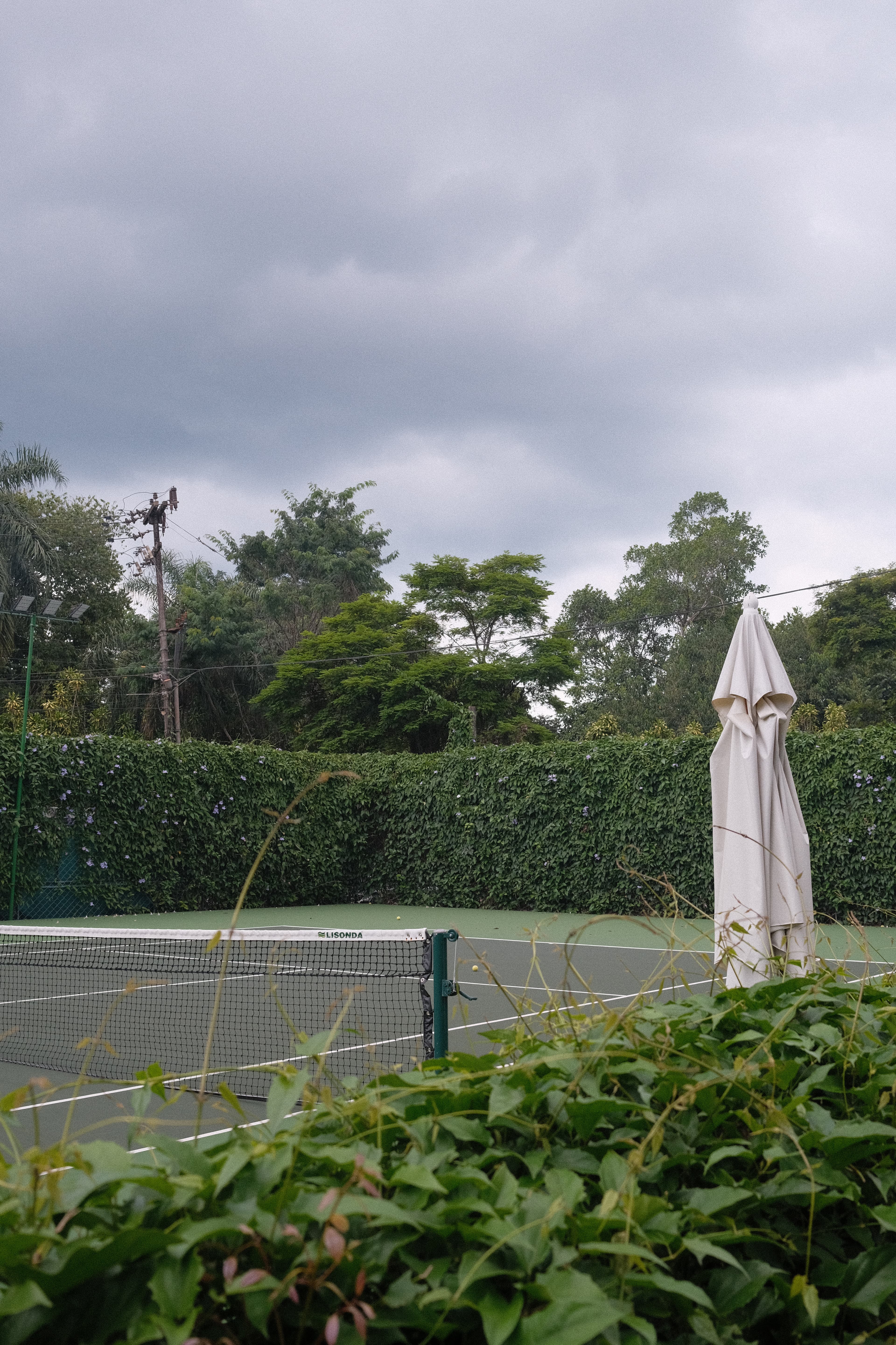 A view of a tennis court surrounded by a hedge, white umbrella and trees.