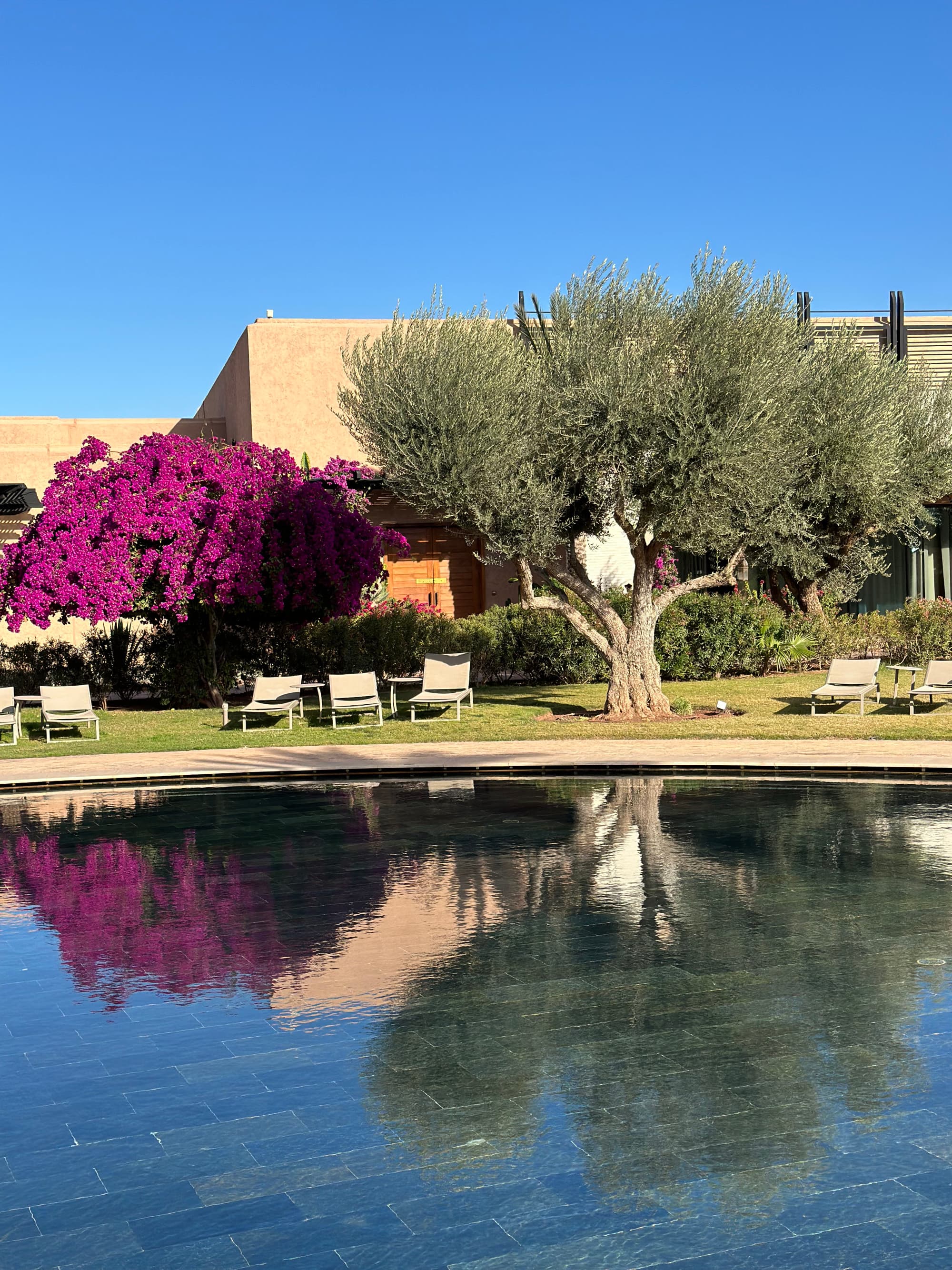 A pool area we a building and trees in the distance
