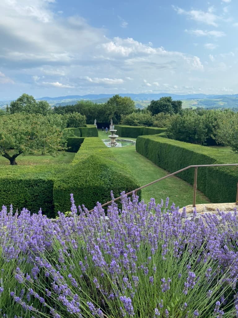 View of a garden with lavender and well trimmed bushes.