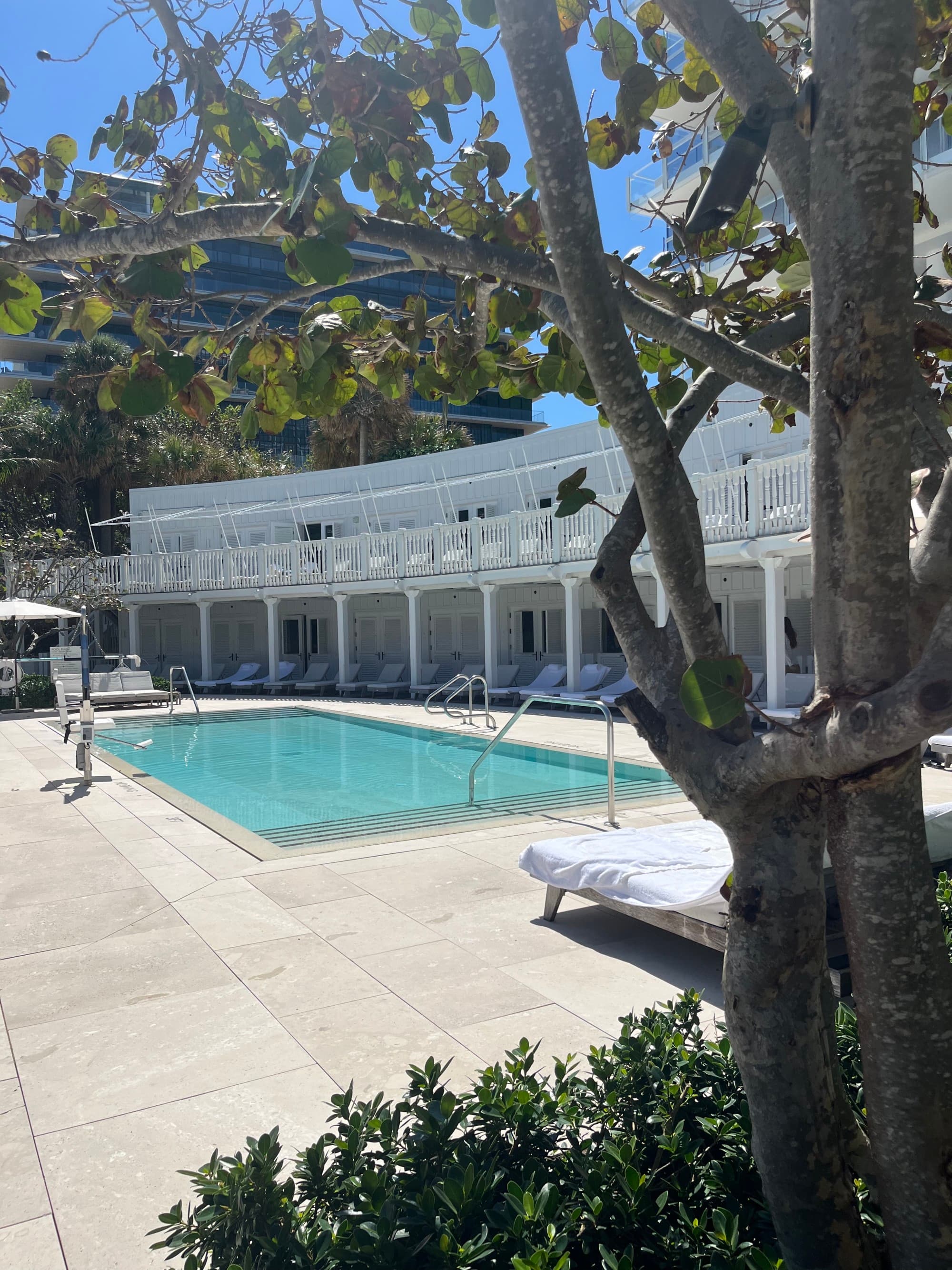 A swimming pool behind a tree in the forefront. There is a white lounge area to the right of the swimming pool covering various lounge chairs.