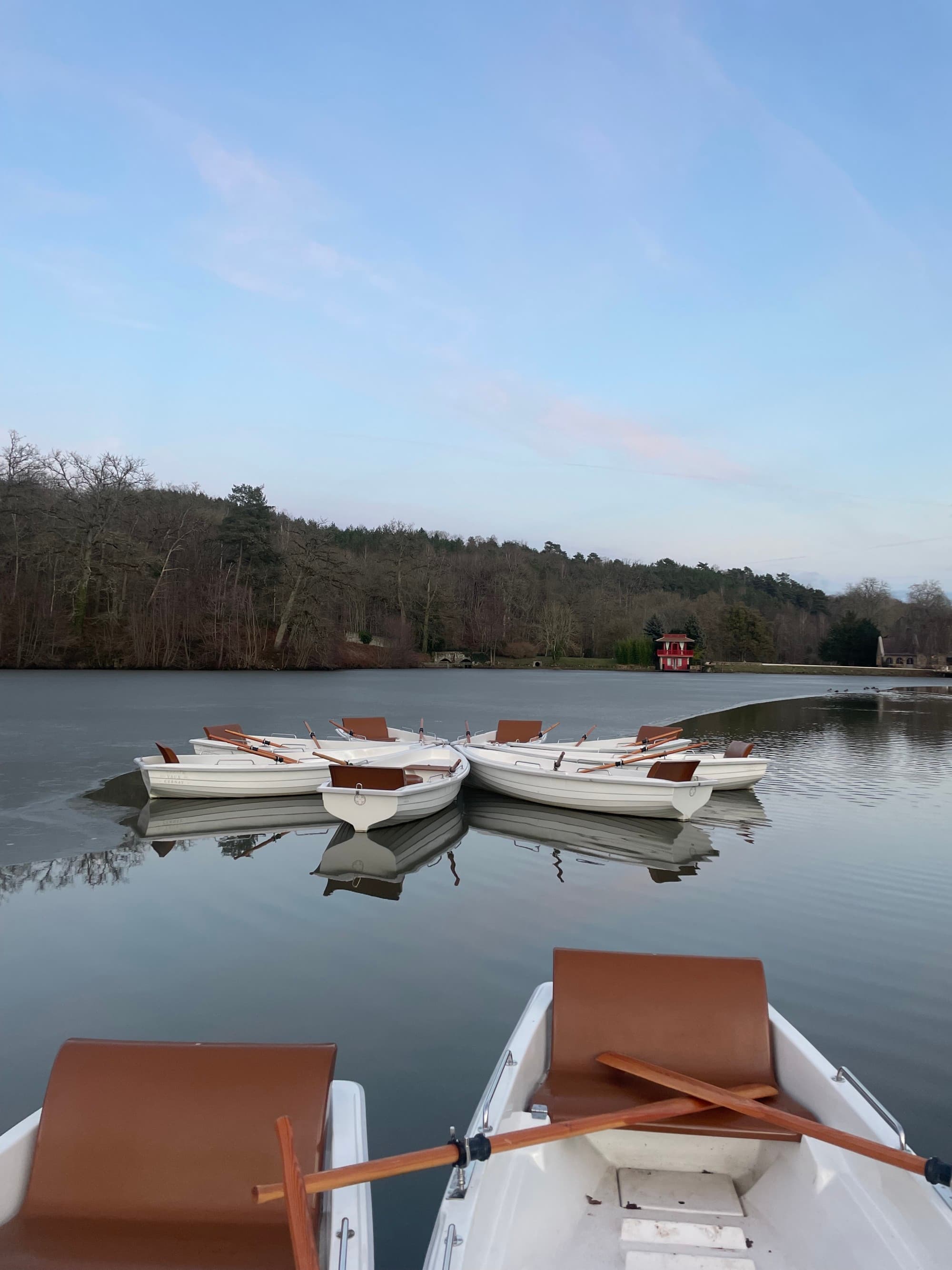 A view of small white boats docked on the calm lake. There are various trees in the background.