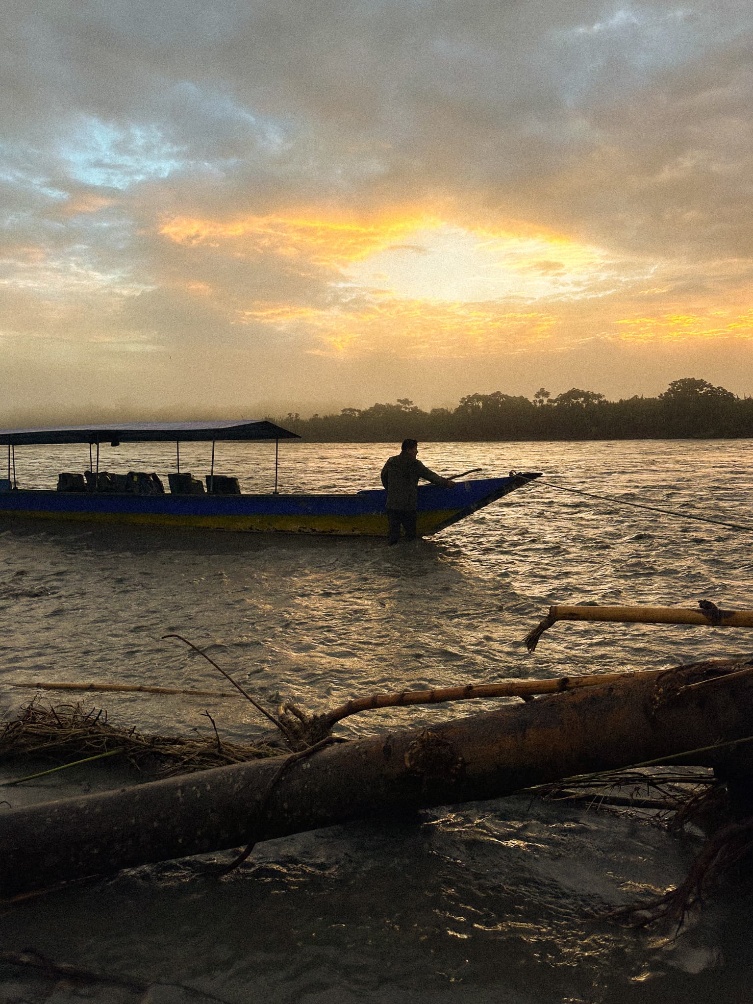 A view of a person driving a boat on the water illuminated by the golden sunset. There is a fallen log in the forefront.